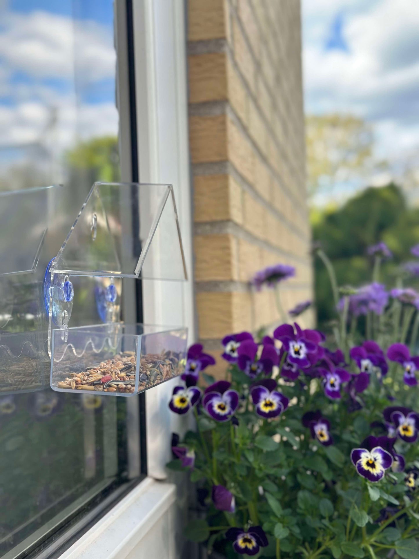 Fugle foderhus m. Sugekop