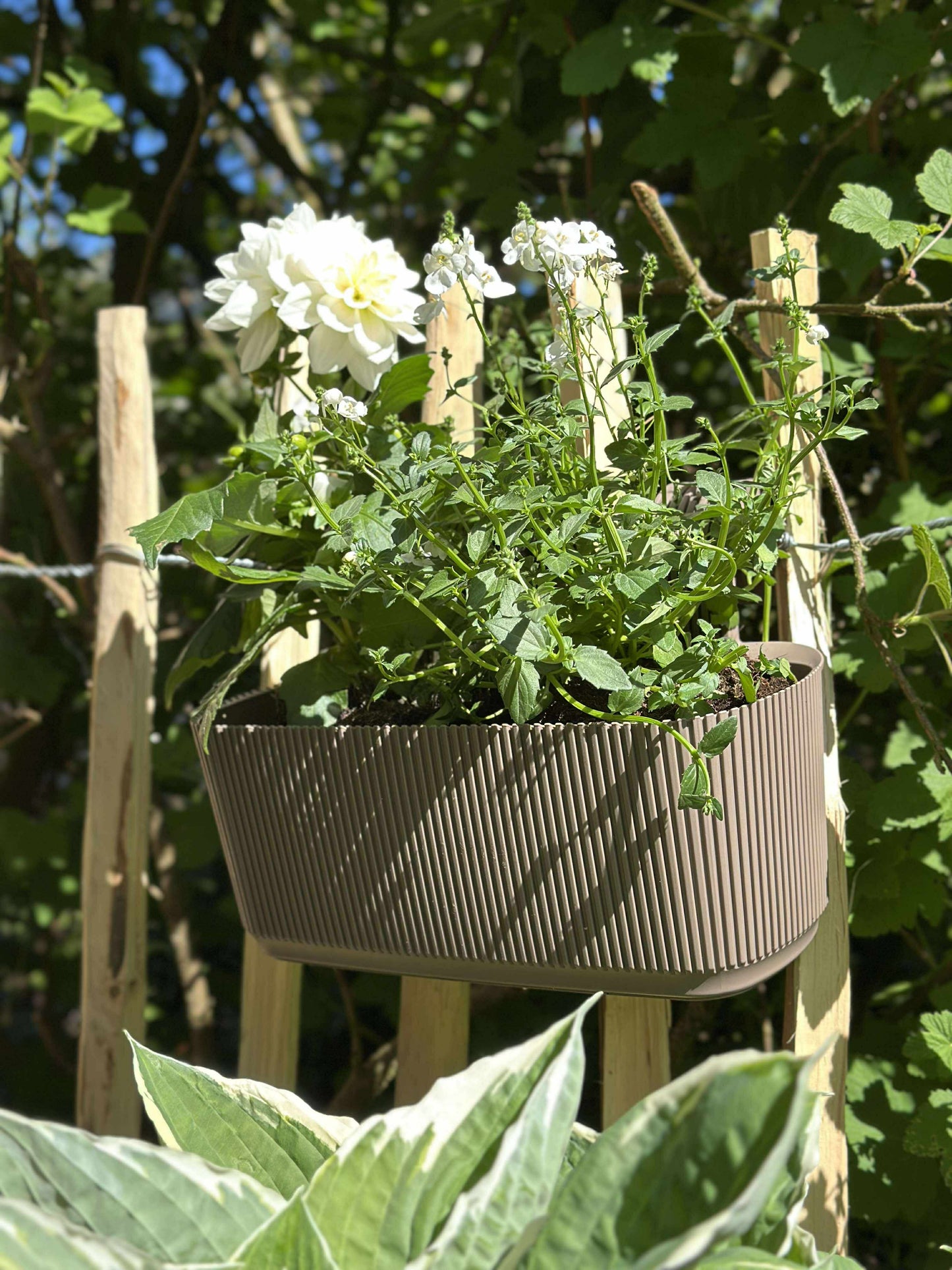 Plantekasse med ophæng - Beige