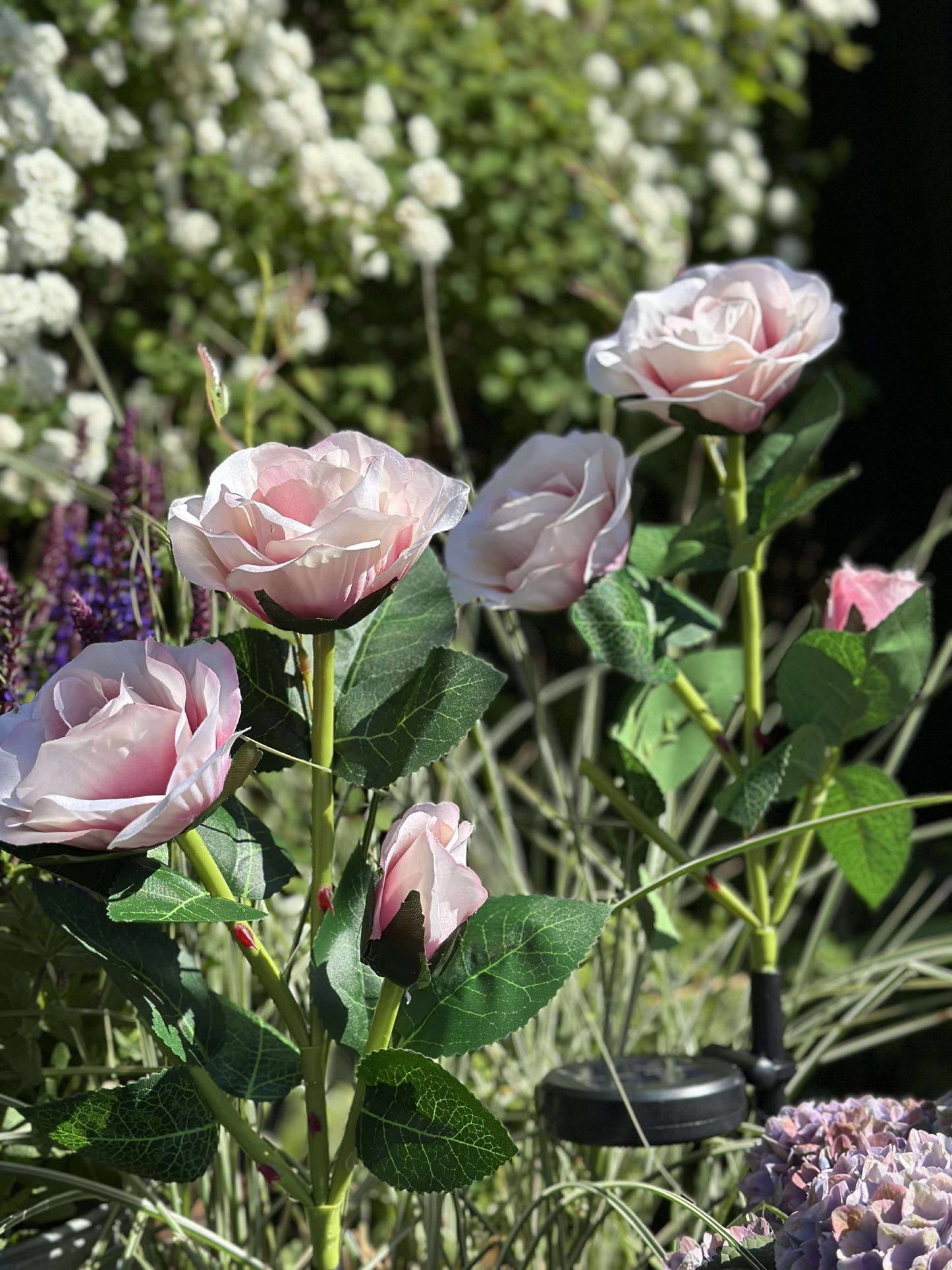 Rose med solceller - Rosa