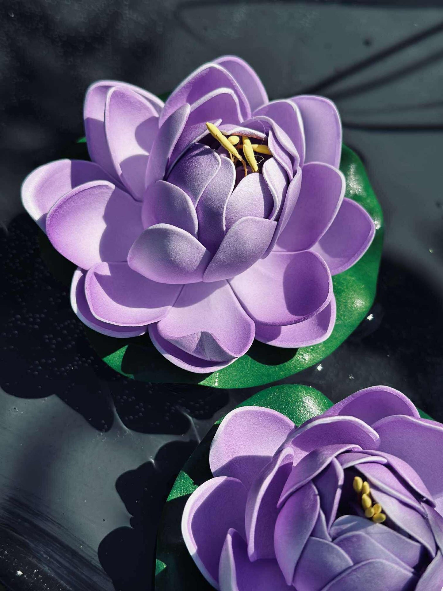 Lotus - Flere farver