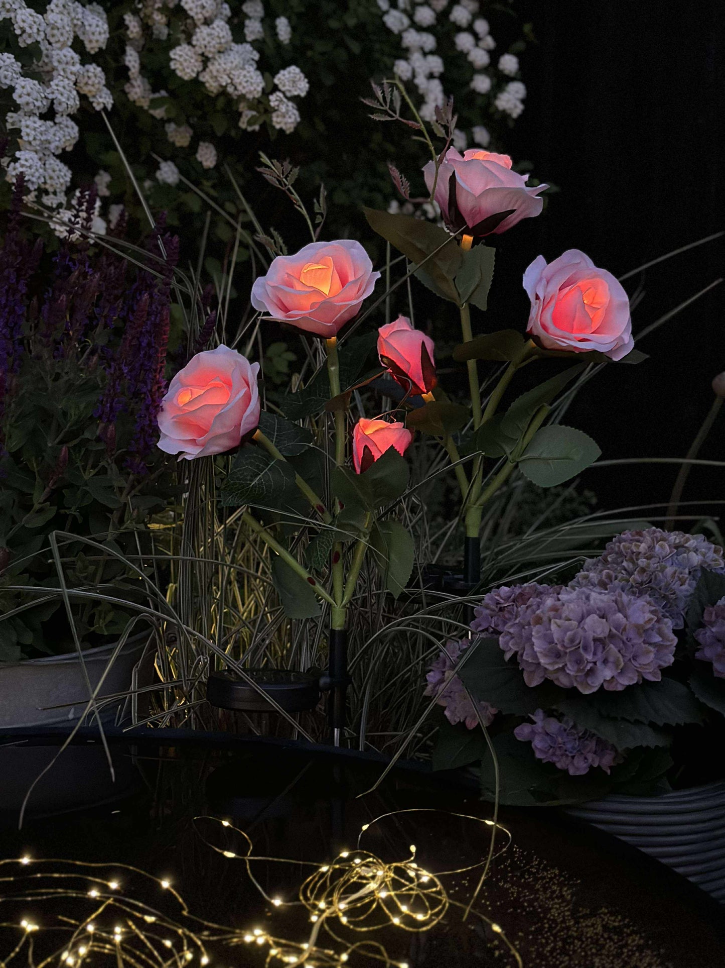 Rose med solceller - Rosa