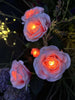 Rose med solceller - Rosa