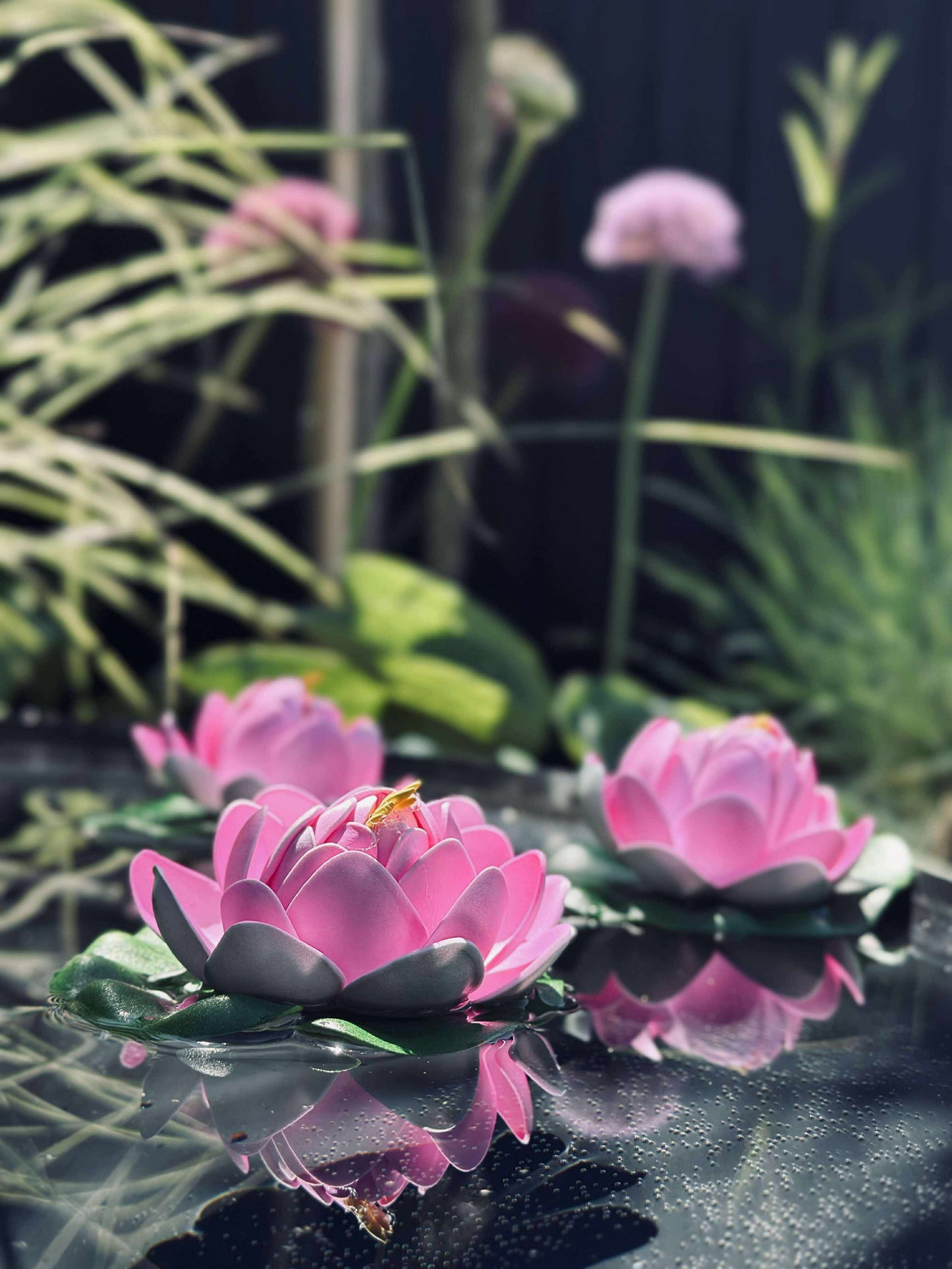 Lotus - Flere farver