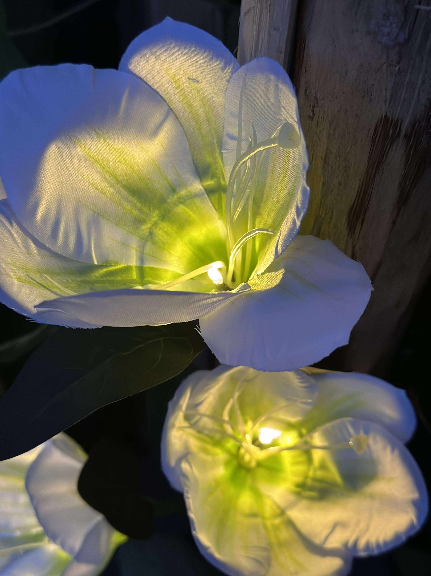 Magnolia med solceller - Hvid