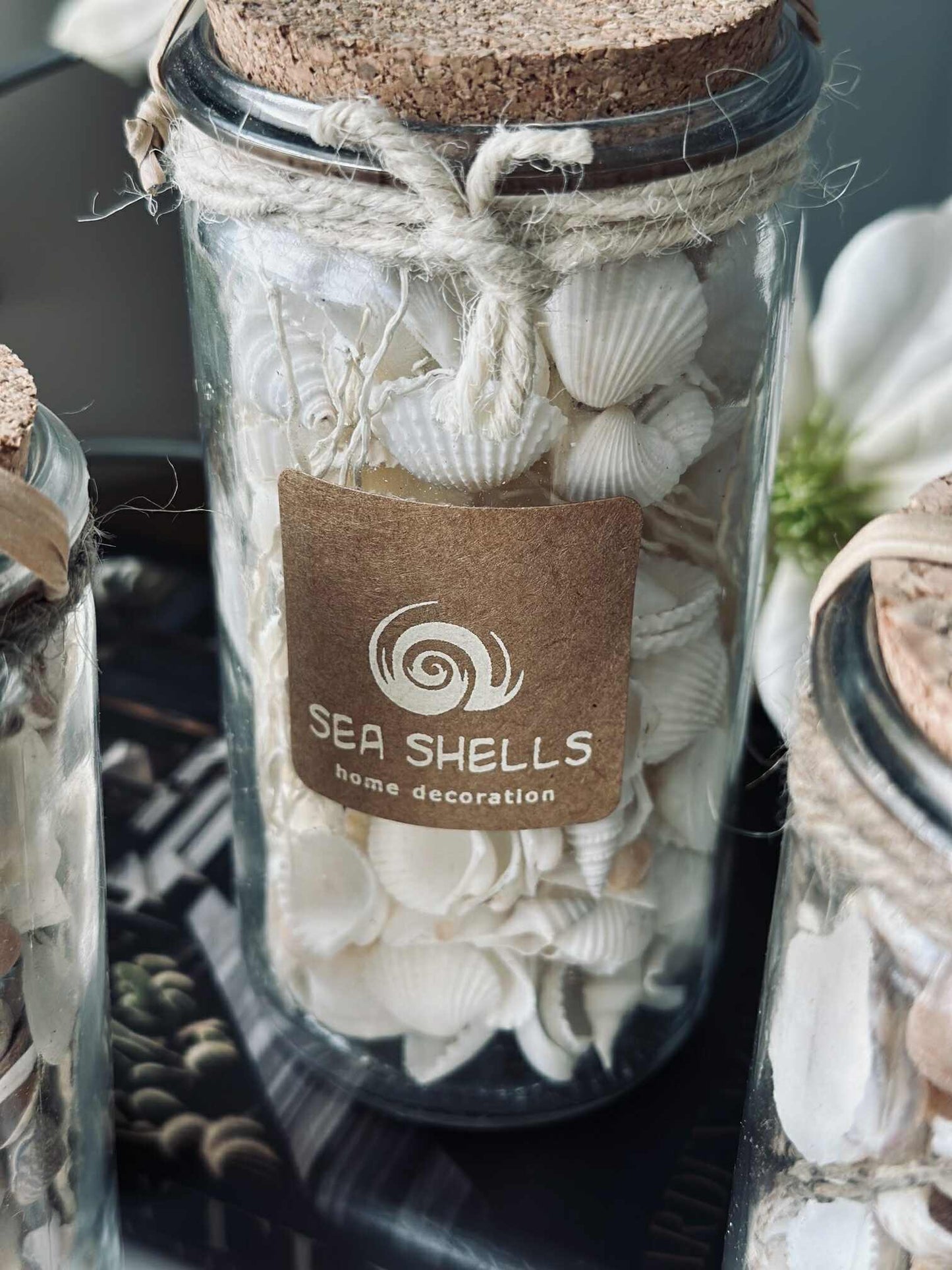 Strandskaller i glas - MIX
