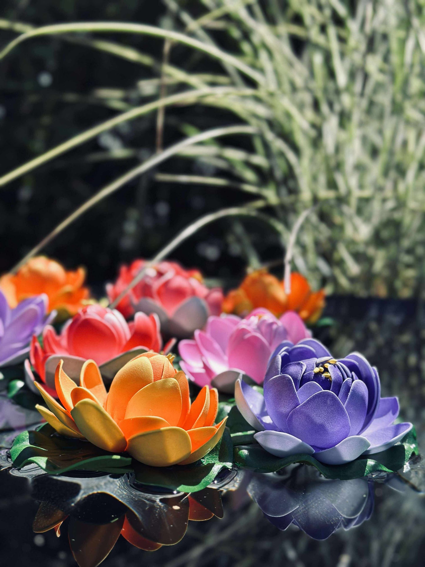 Lotus - Flere farver
