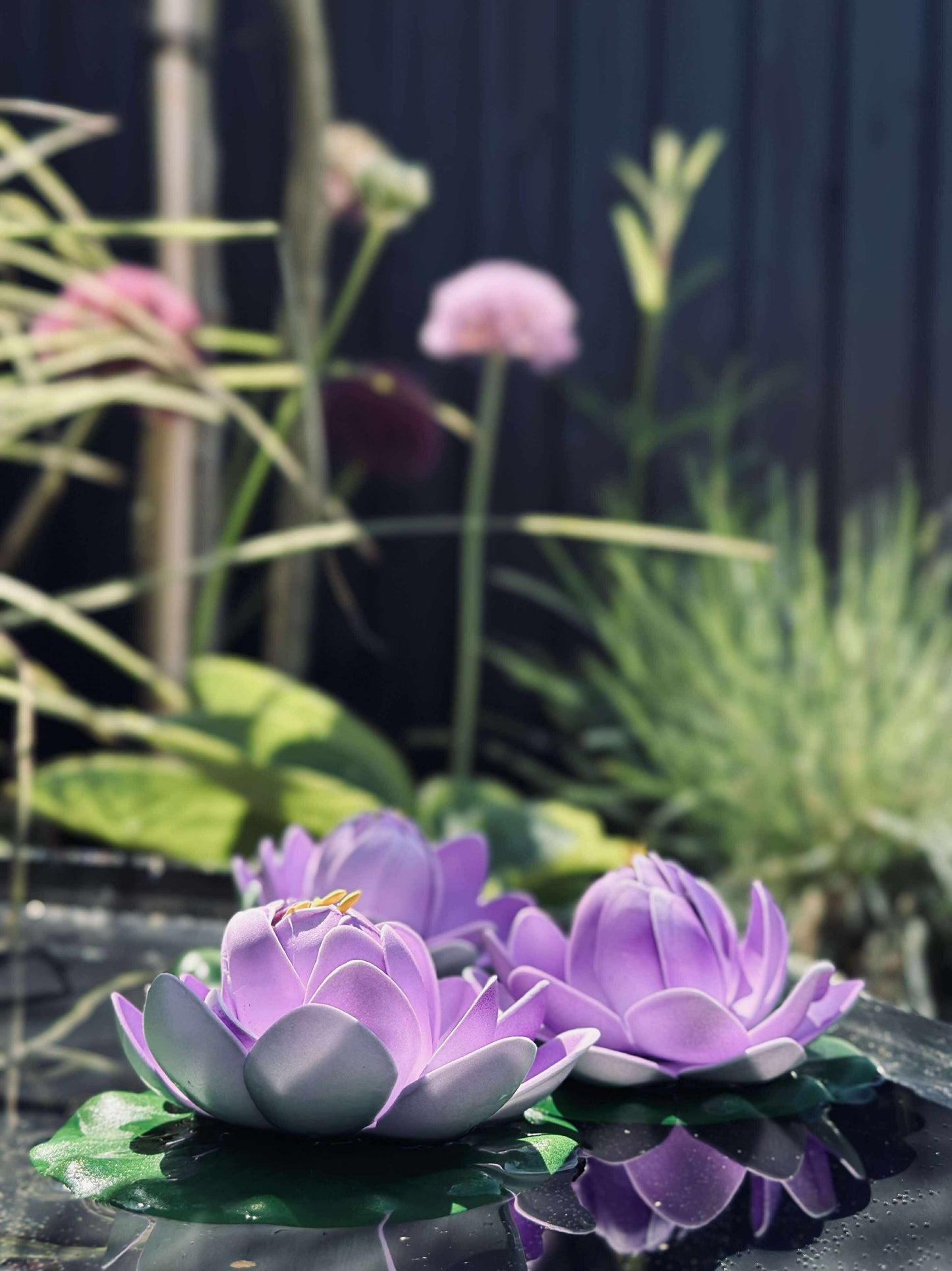 Lotus - Flere farver