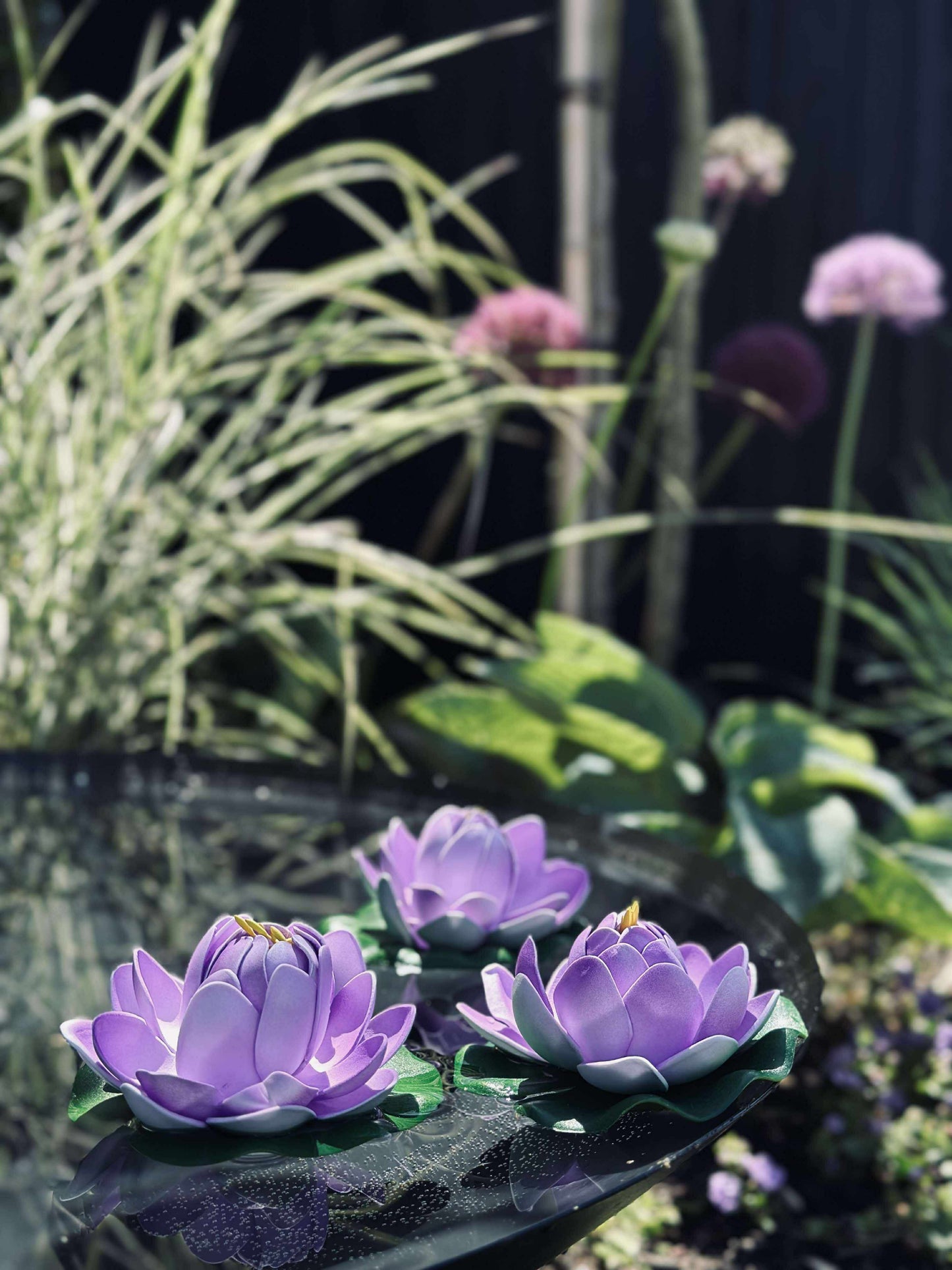 Lotus - Flere farver