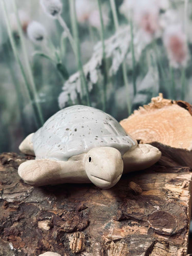 Skildpadde MIX