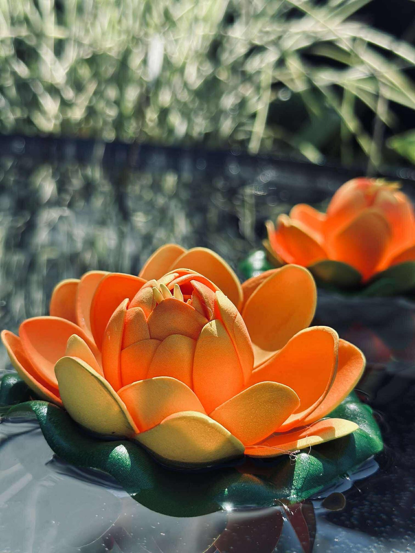Lotus - Flere farver
