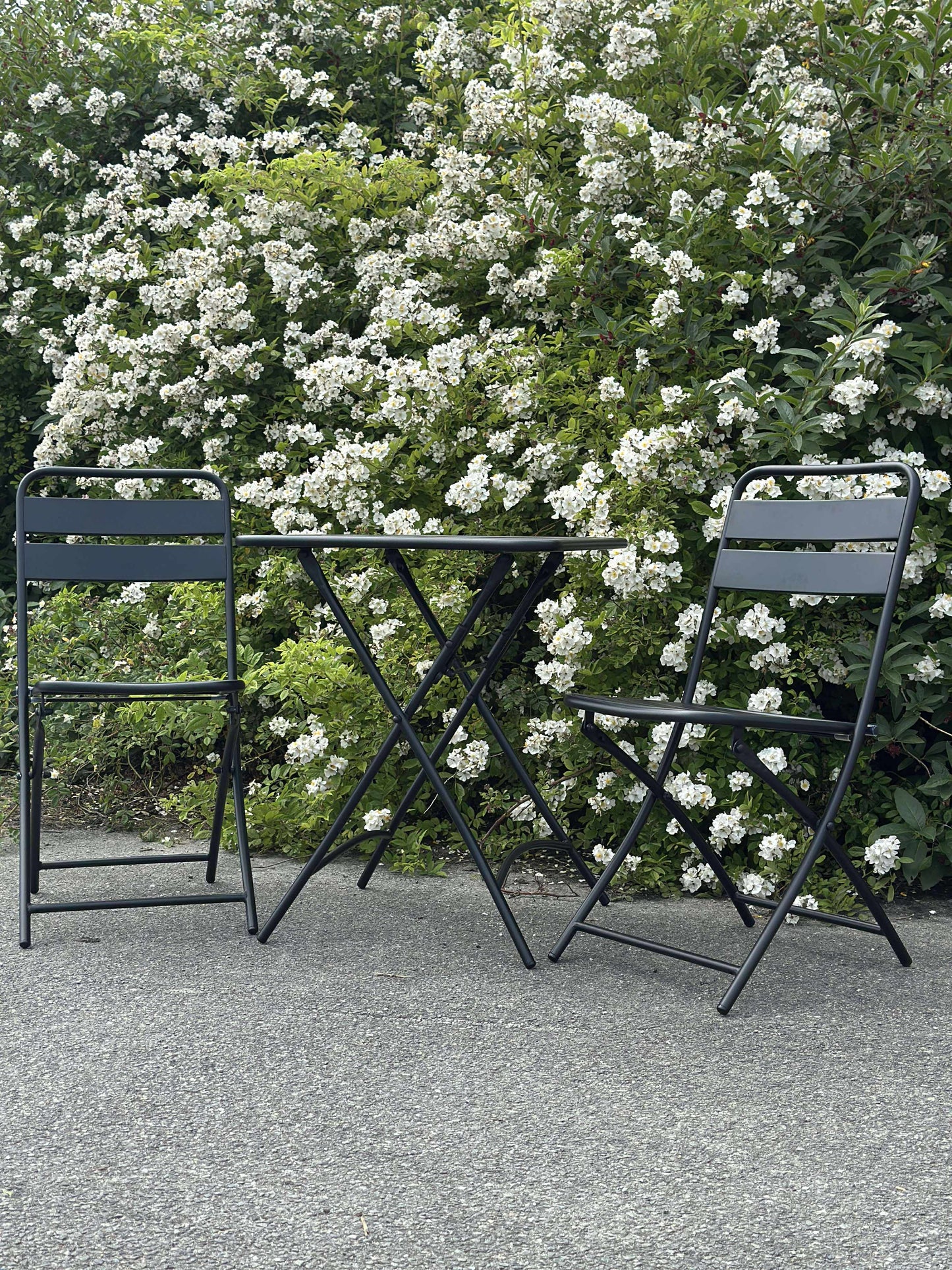 Cafésæt - Black garden