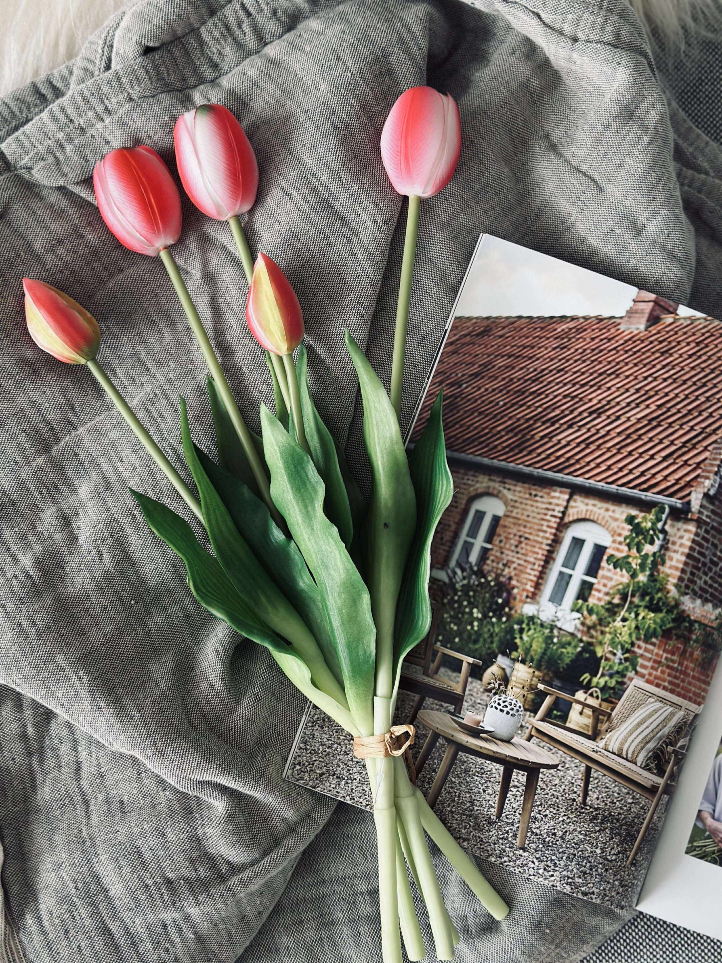 Tulipaner – Flere farver