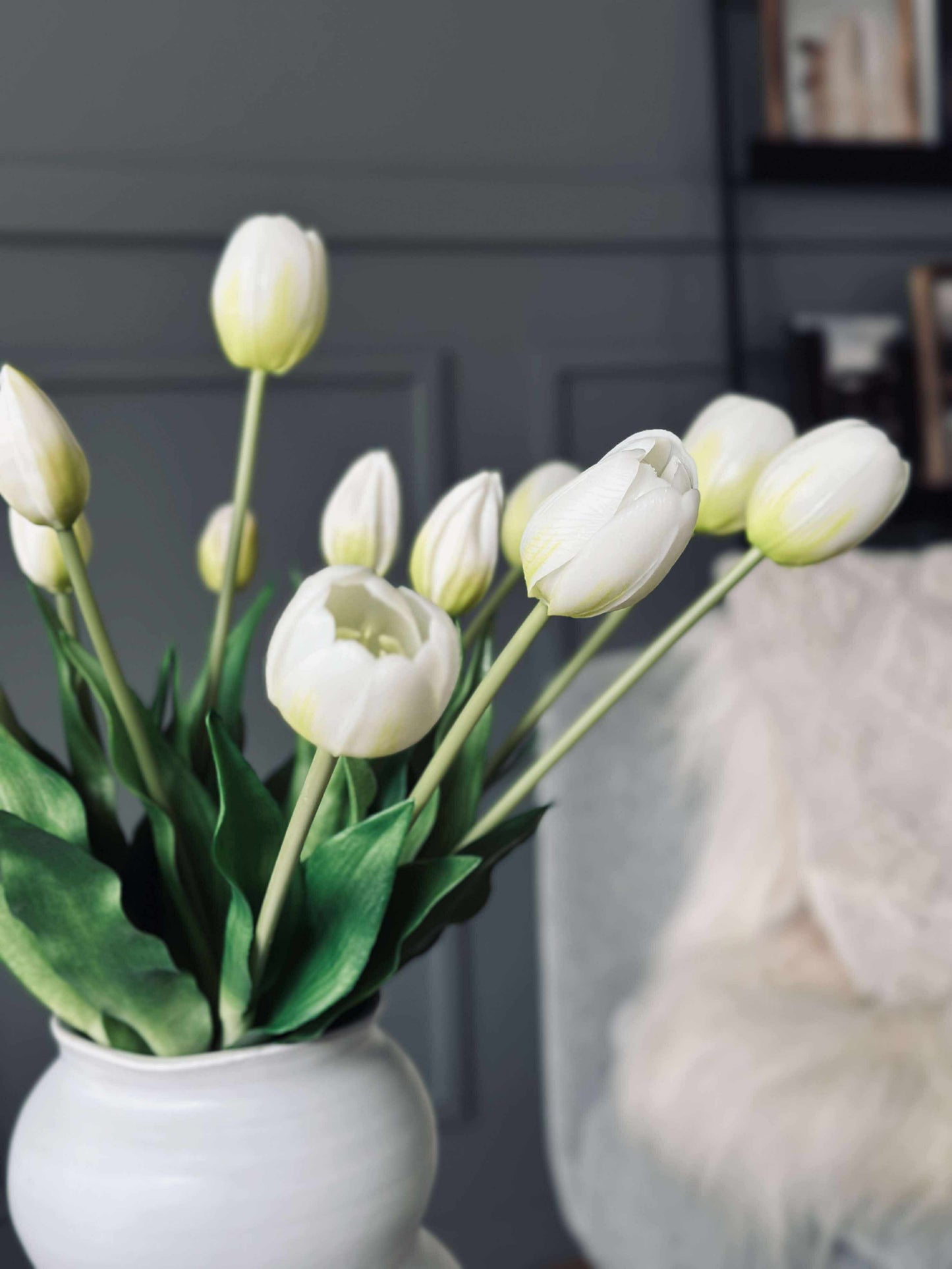 Tulipaner – Flere farver