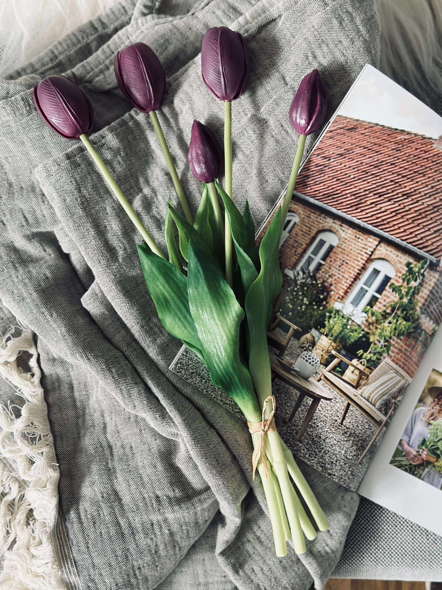 Tulipaner – Flere farver