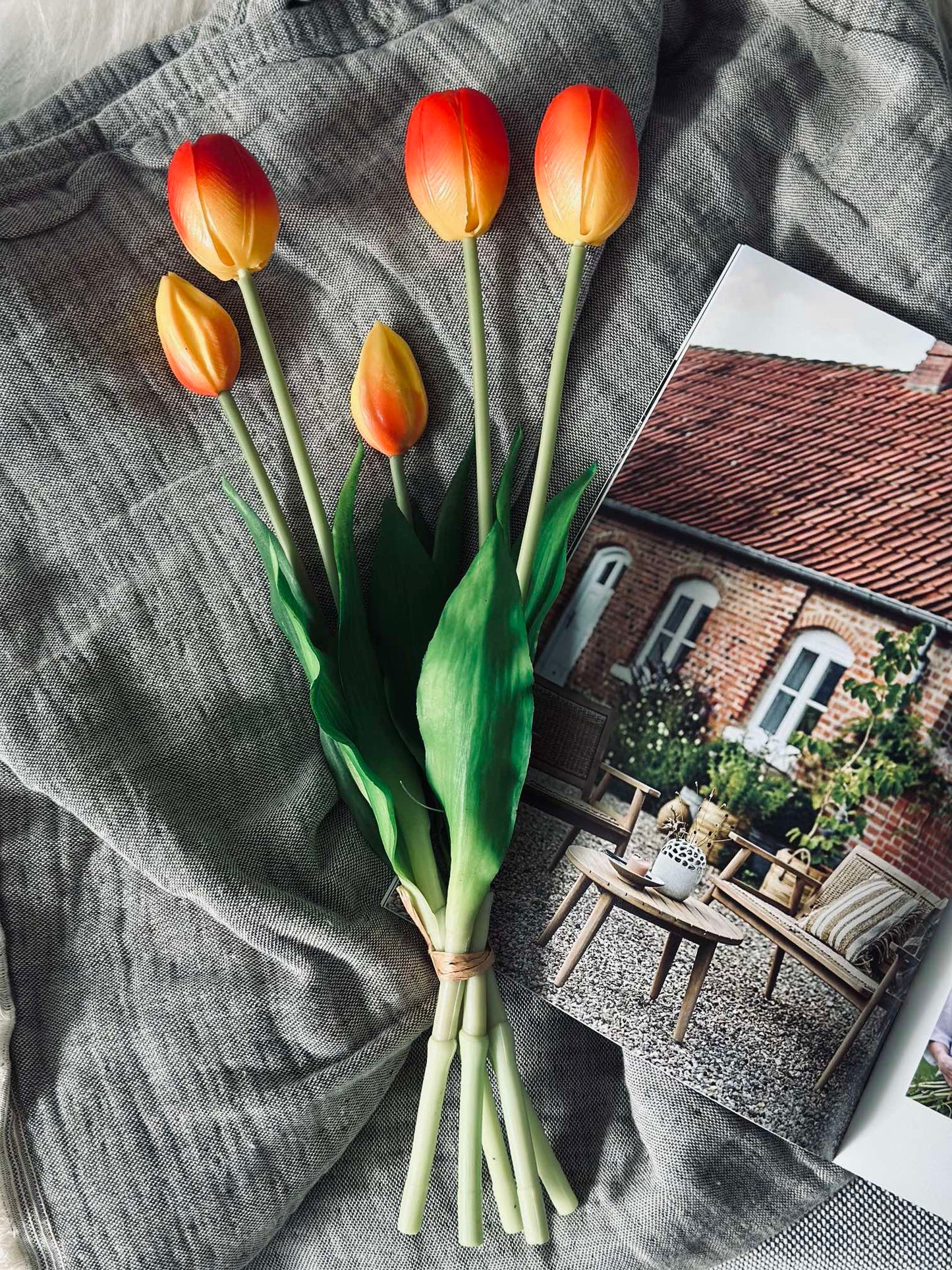 Tulipaner – Flere farver