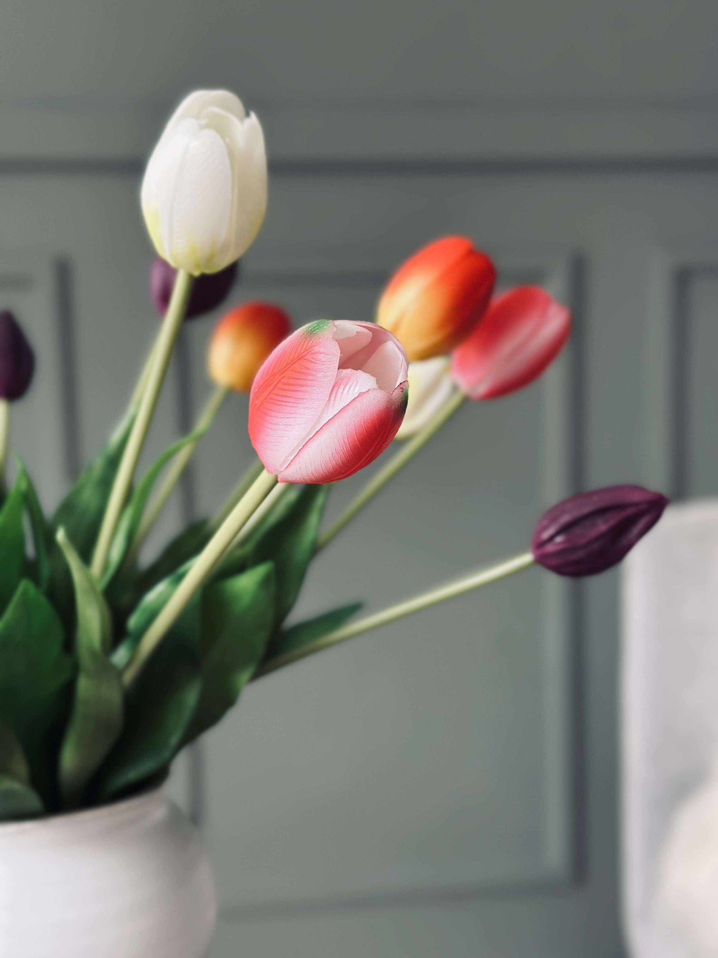 Tulipaner – Flere farver