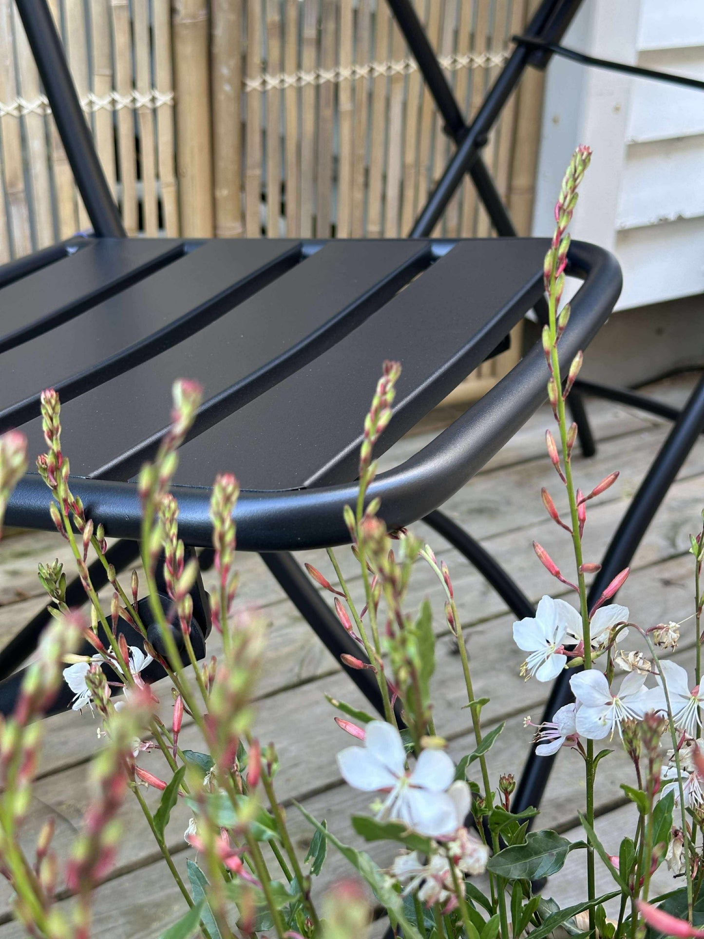 Cafésæt - Black garden