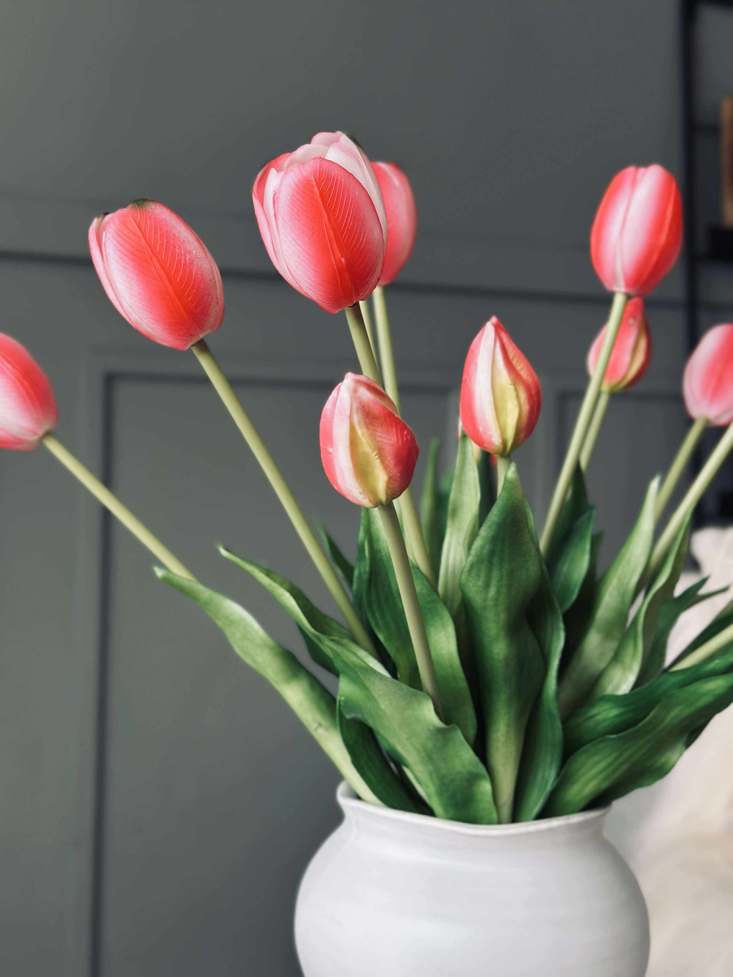 Tulipaner – Flere farver