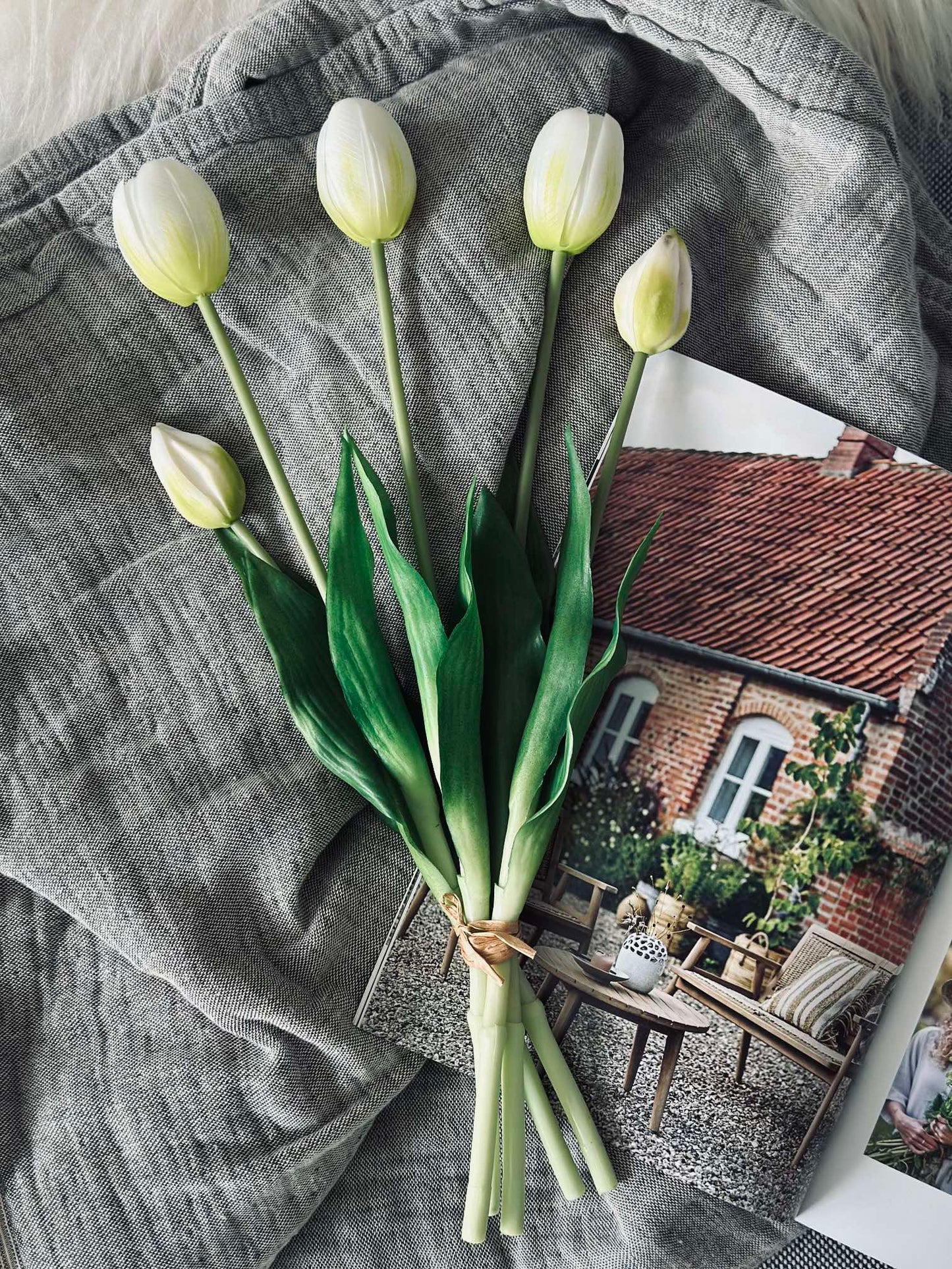 Tulipaner – Flere farver