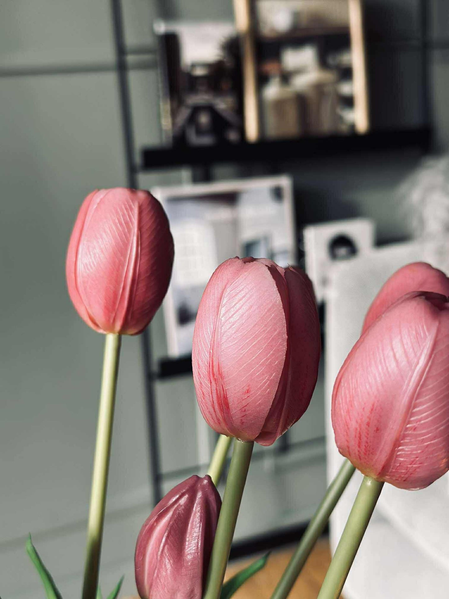 Tulipaner – Flere farver