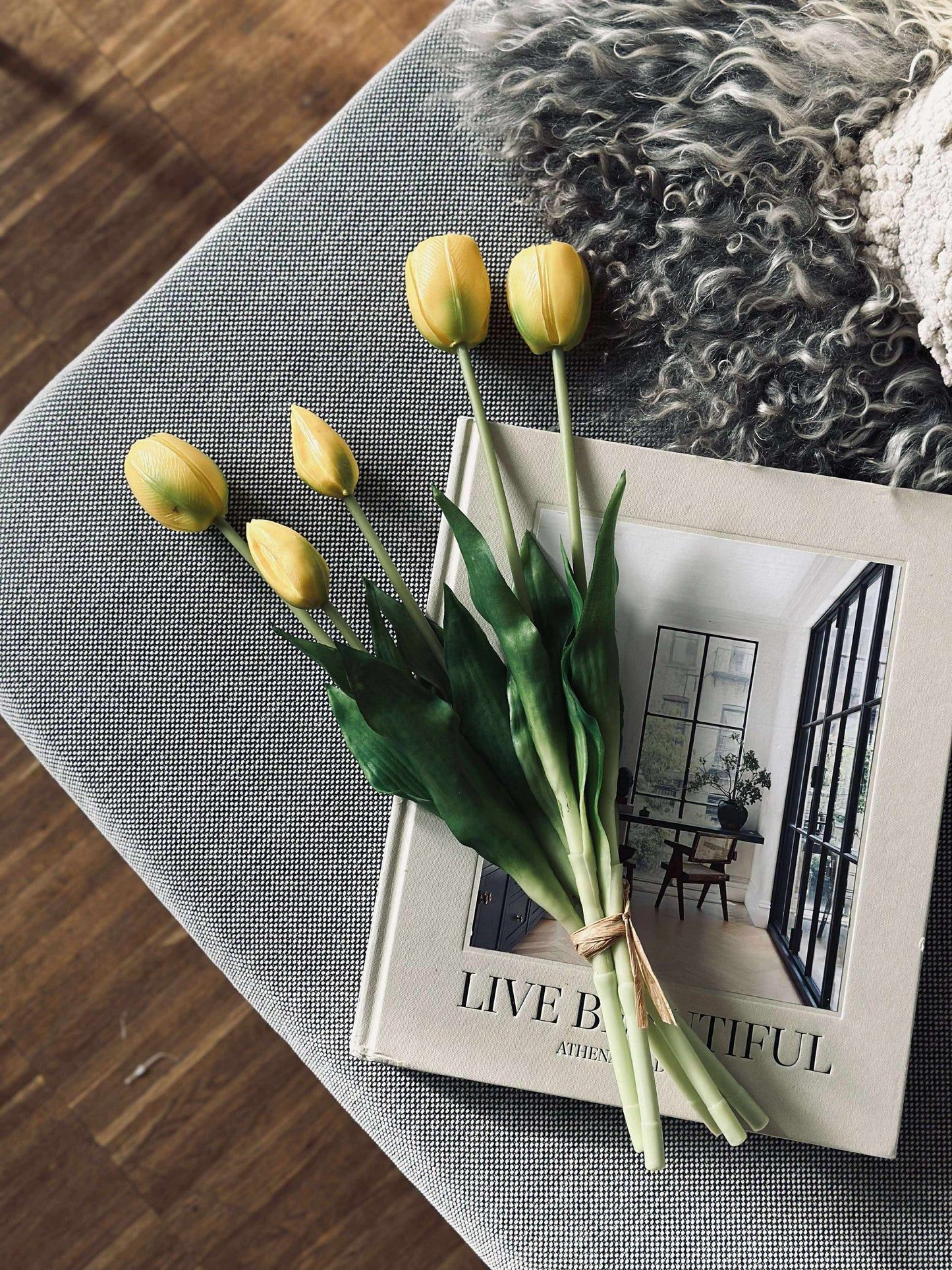 Tulipaner – Flere farver