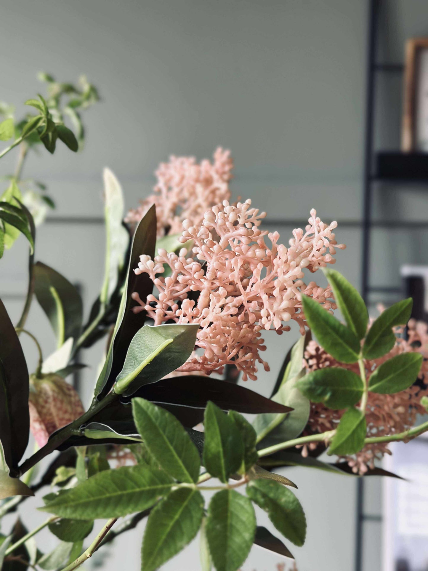 Blomsterstilk -skimmia  MIX