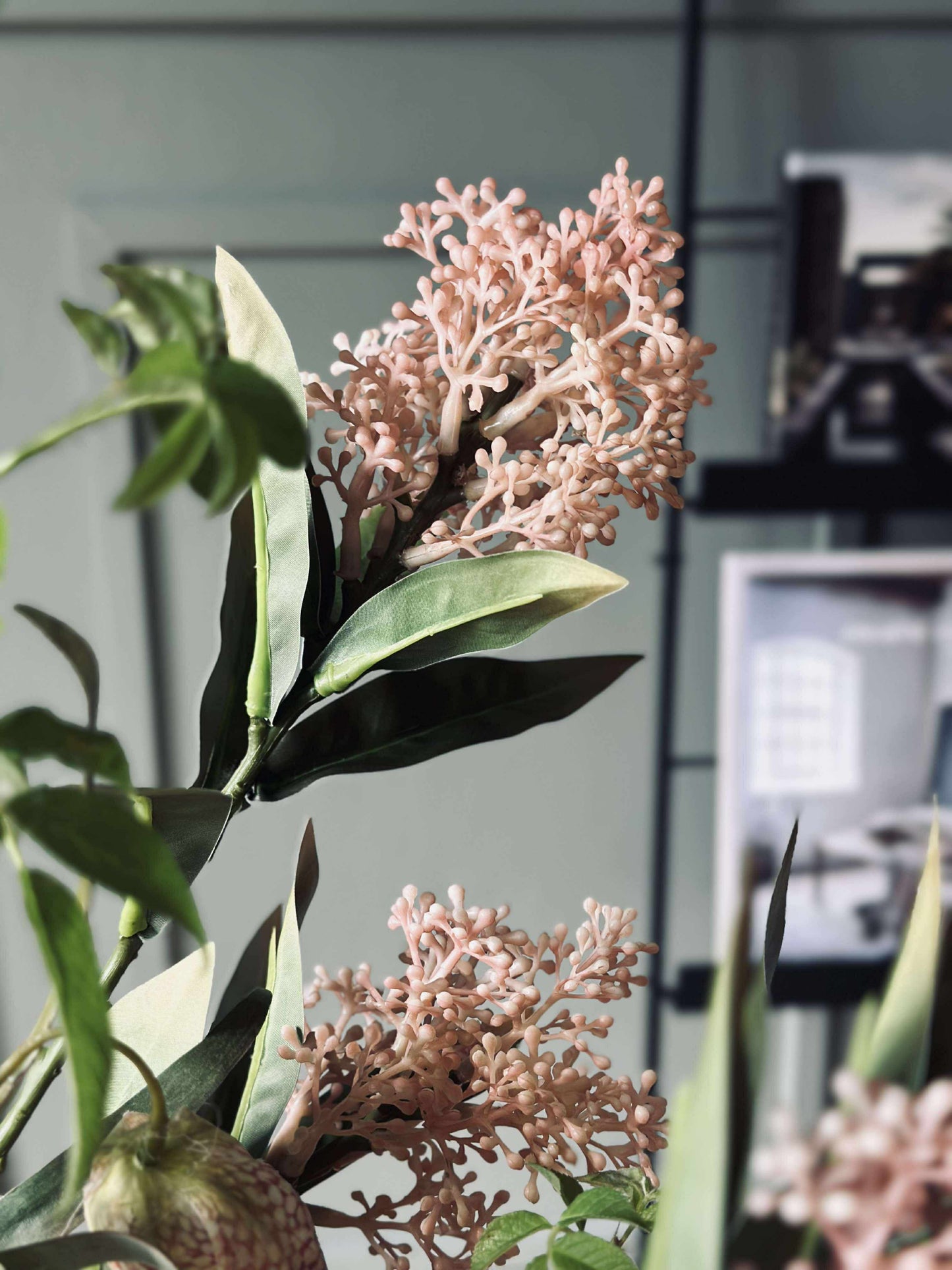 Blomsterstilk -skimmia  MIX