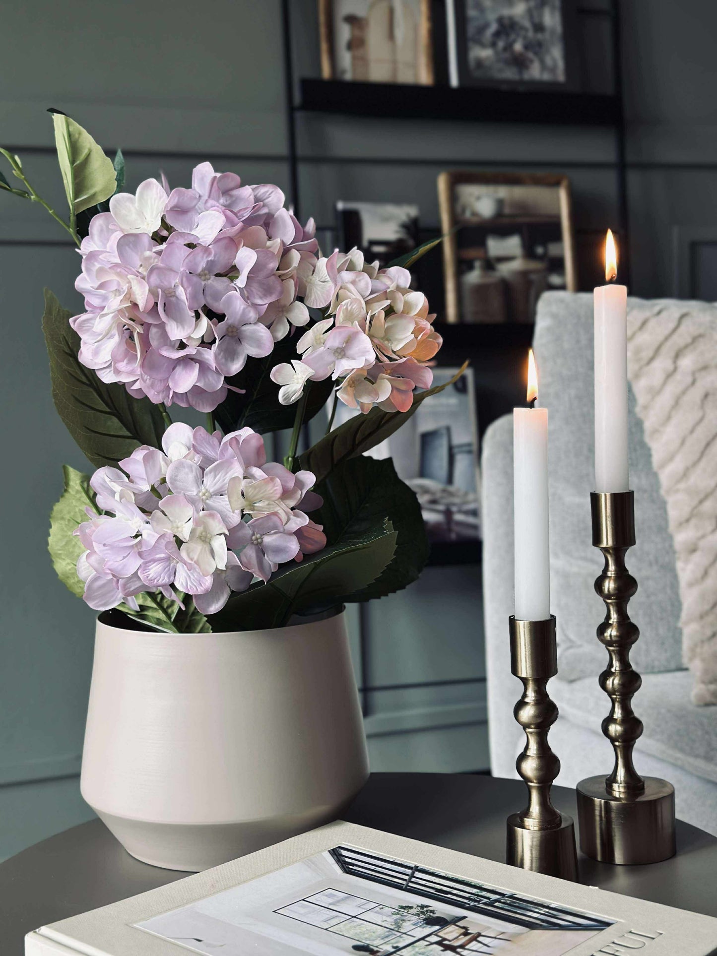 Hortensia i potte - Syren