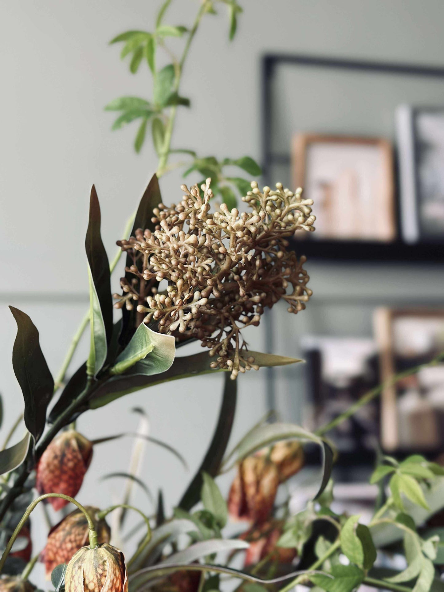 Blomsterstilk -skimmia  MIX