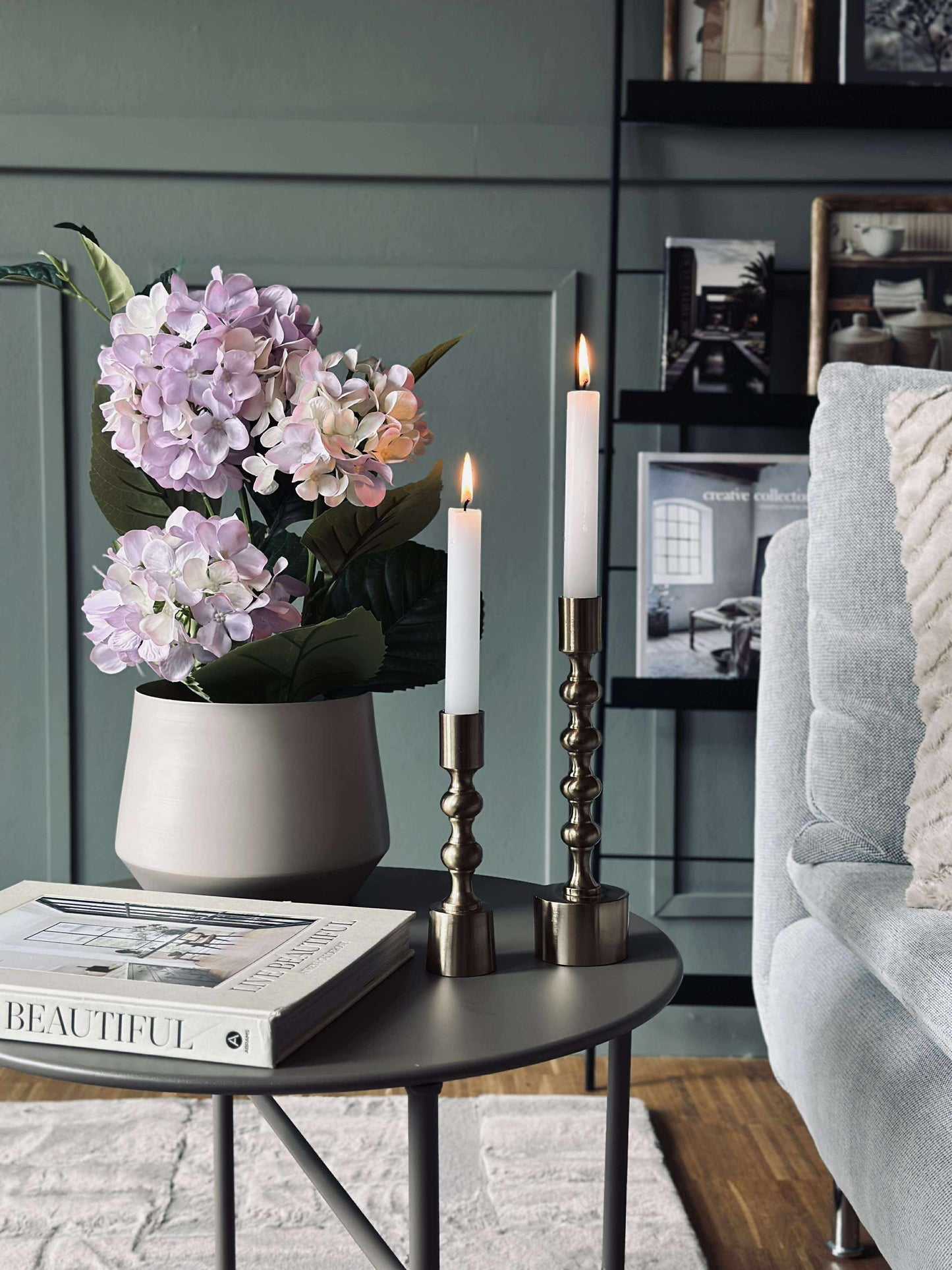 Hortensia i potte - Syren