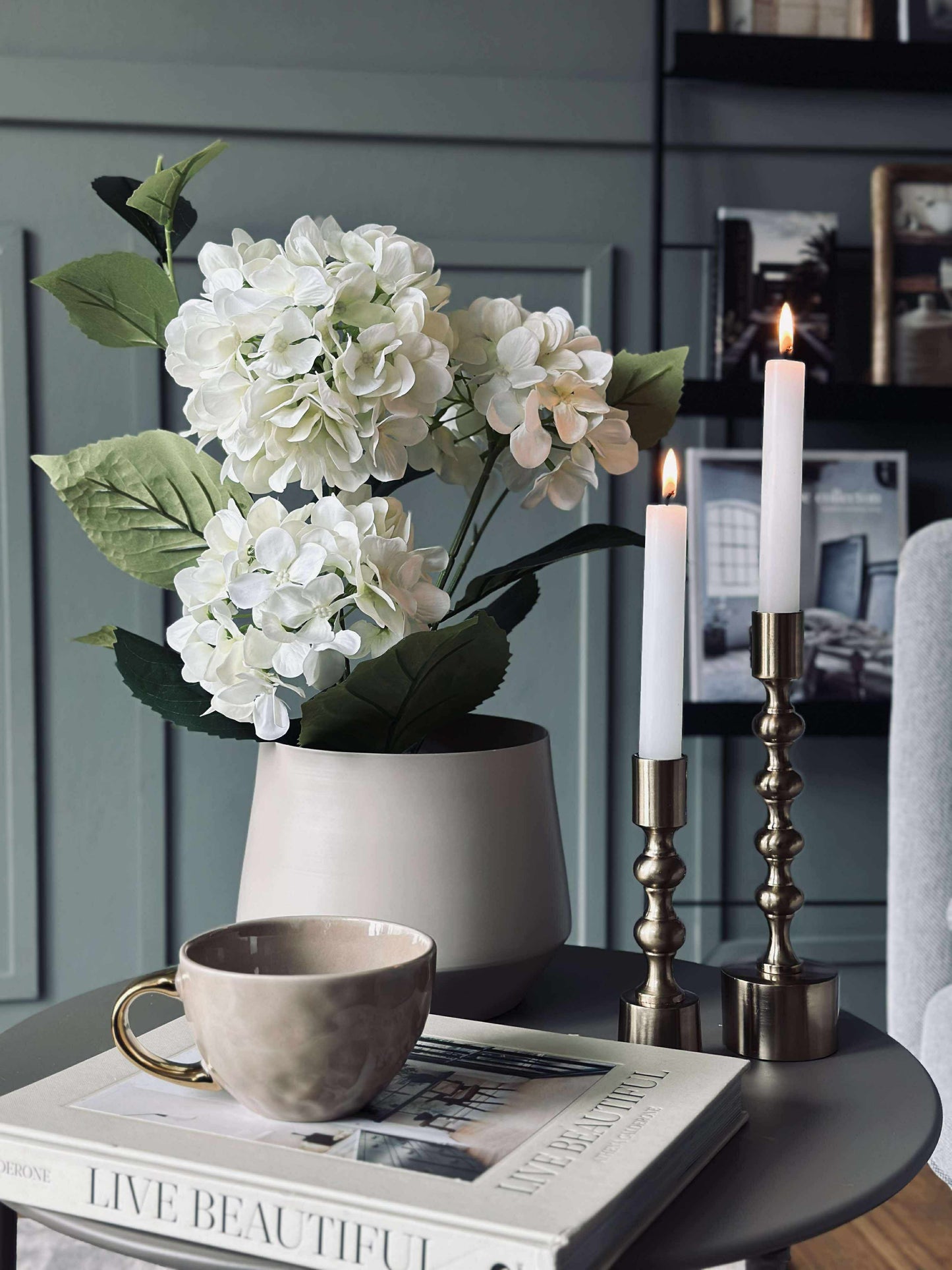 Hortensia i potte - Hvid