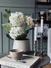 Hortensia i potte - Hvid
