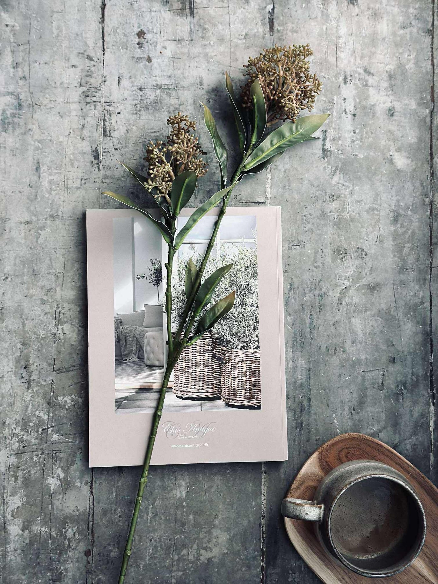 Blomsterstilk -skimmia  MIX