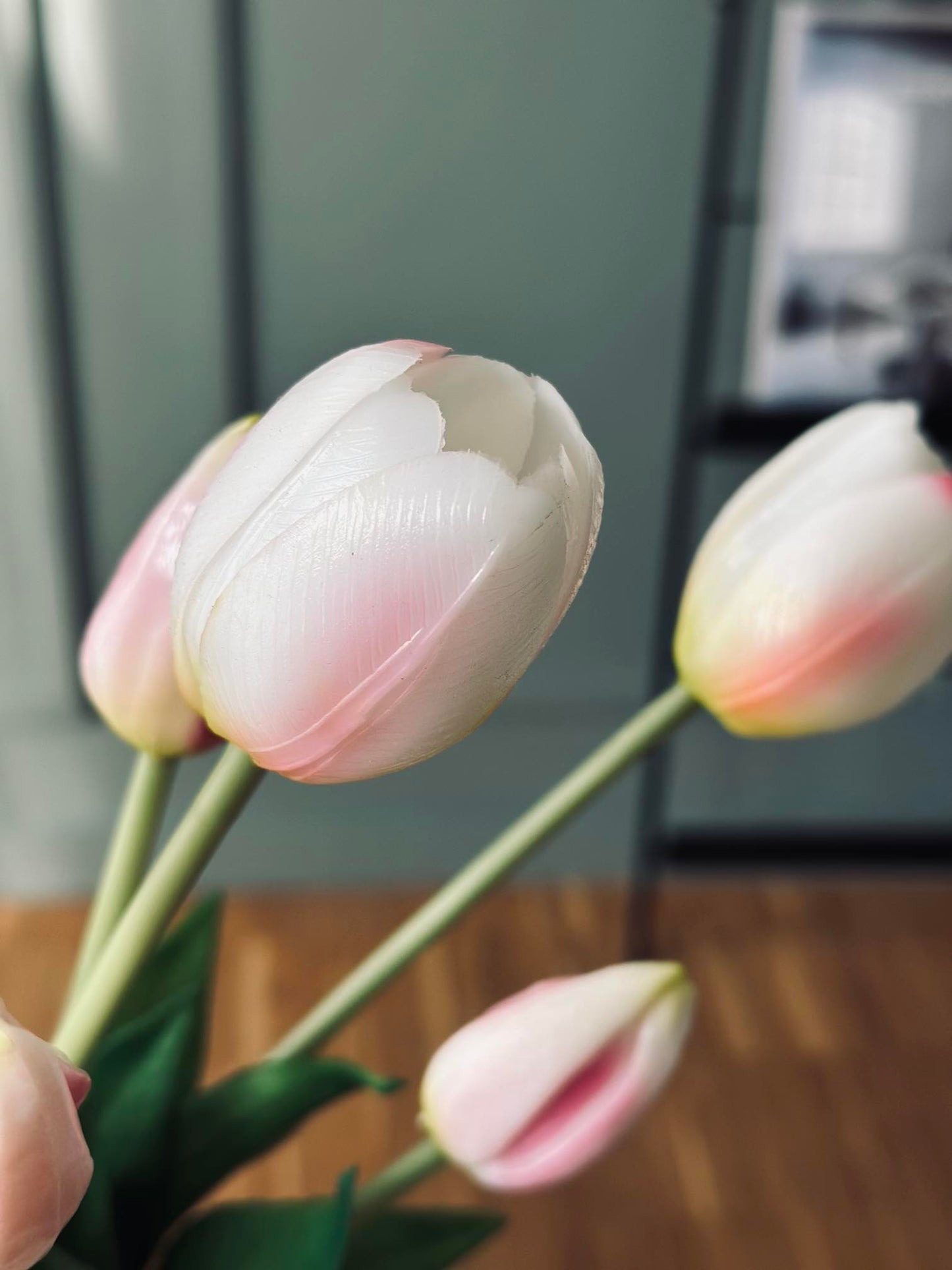 Tulipaner – Flere farver