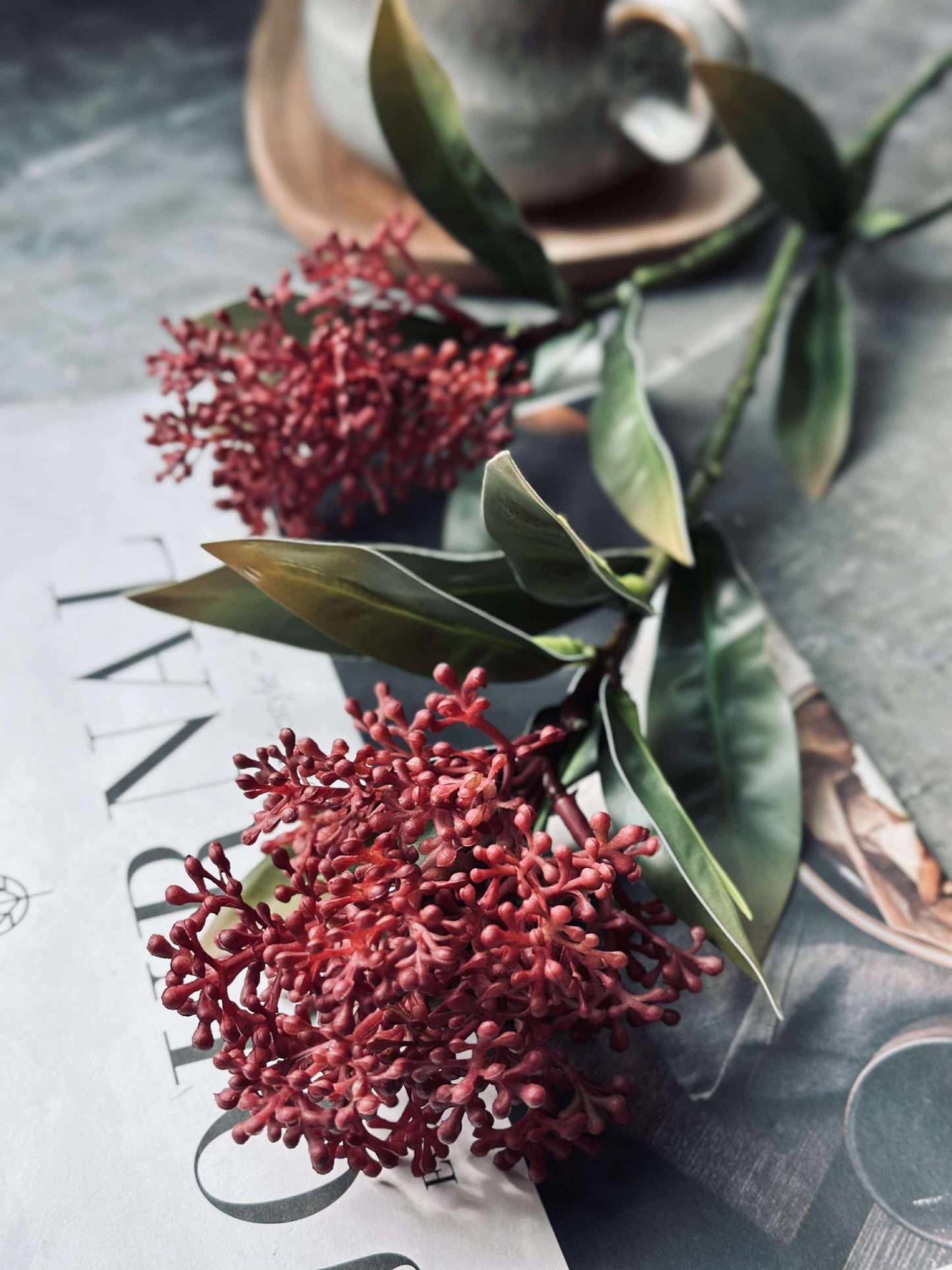 Blomsterstilk -skimmia  MIX