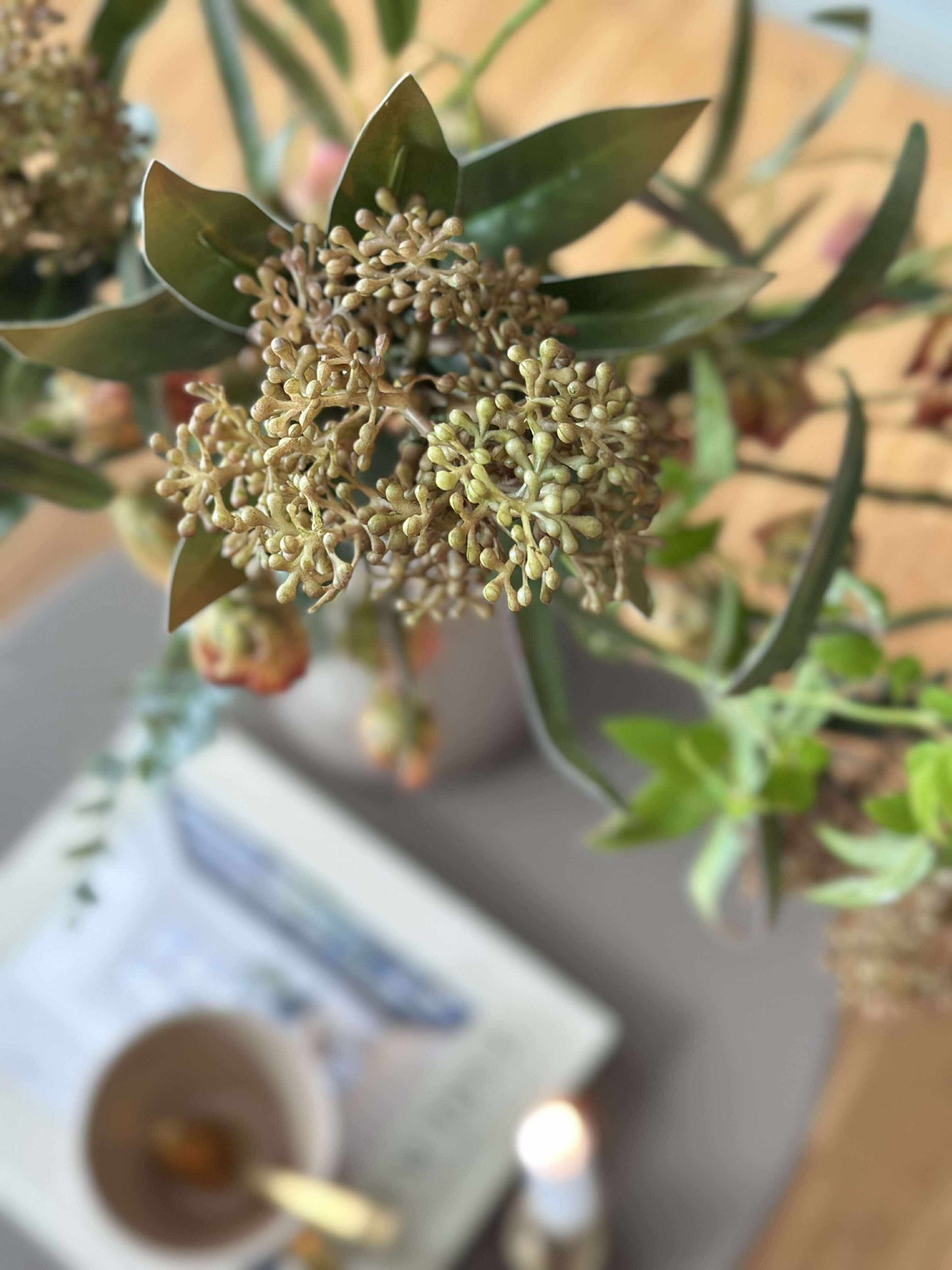 Blomsterstilk -skimmia  MIX