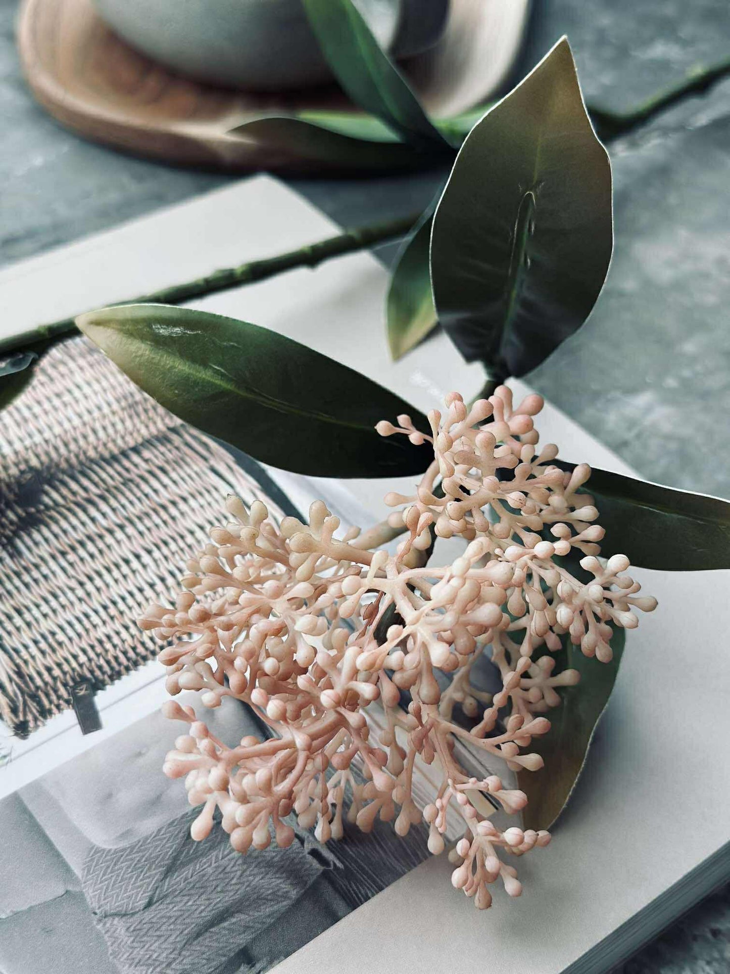 Blomsterstilk -skimmia  MIX