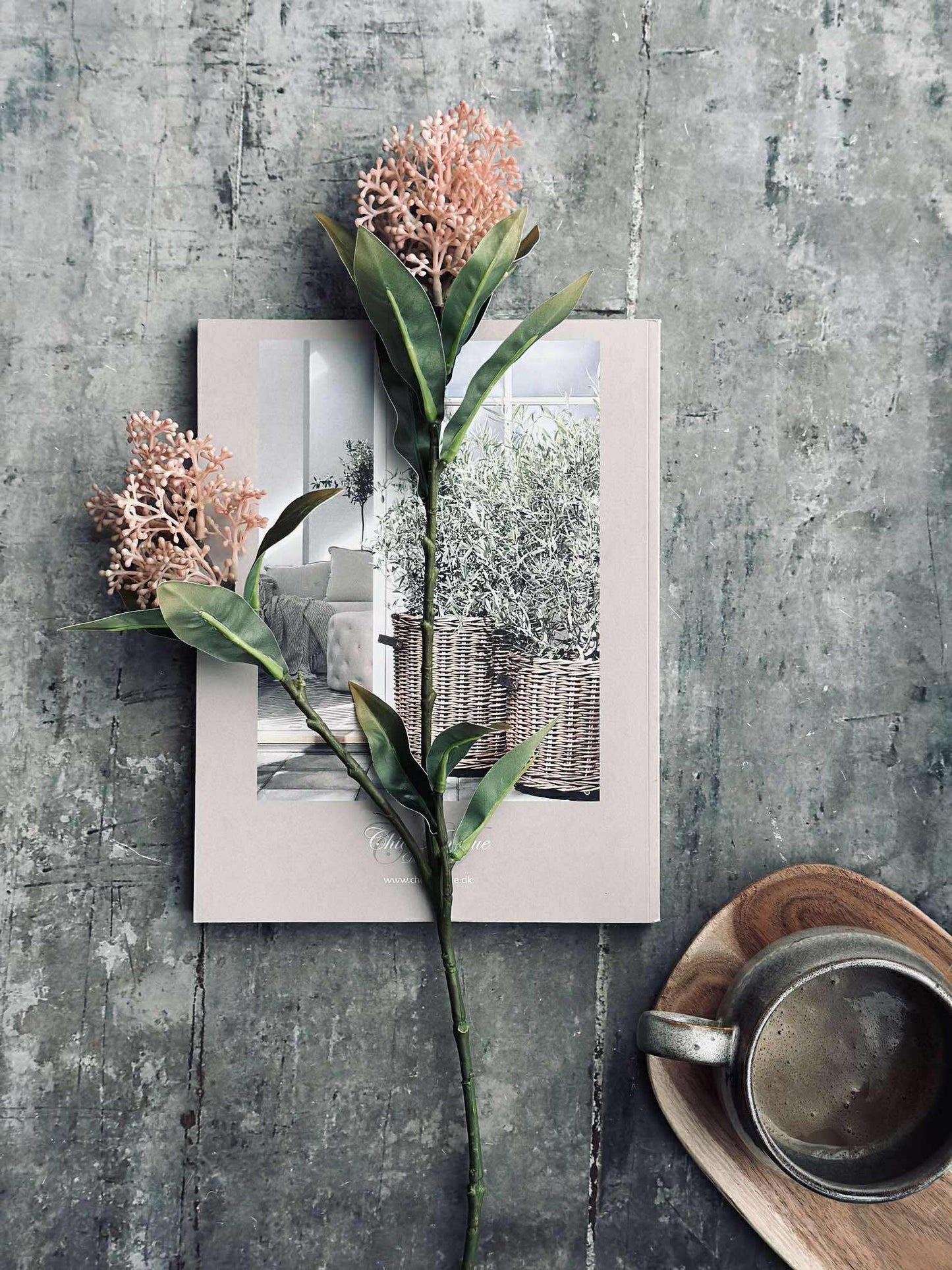 Blomsterstilk -skimmia  MIX