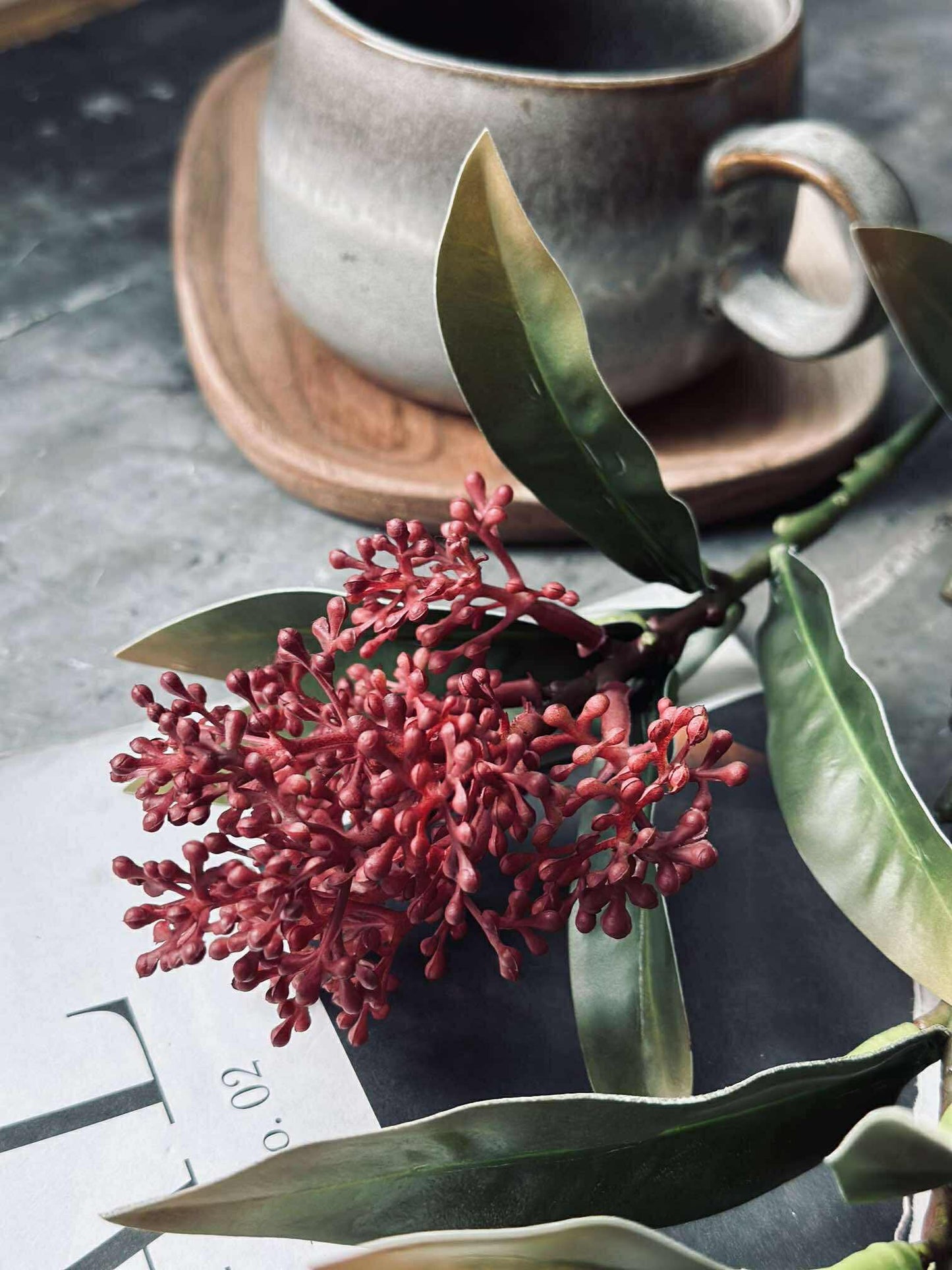 Blomsterstilk -skimmia  MIX