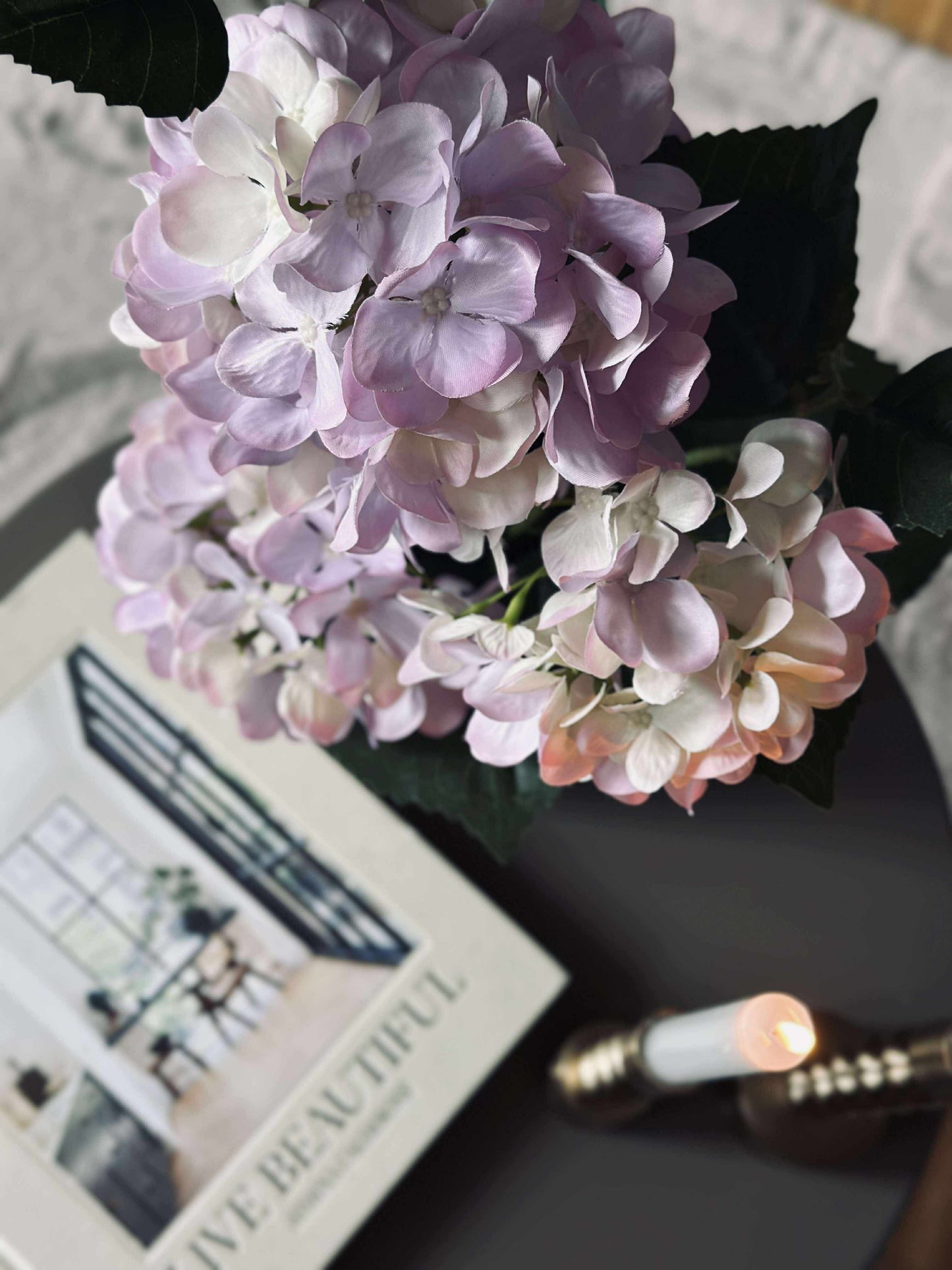 Hortensia i potte - Syren