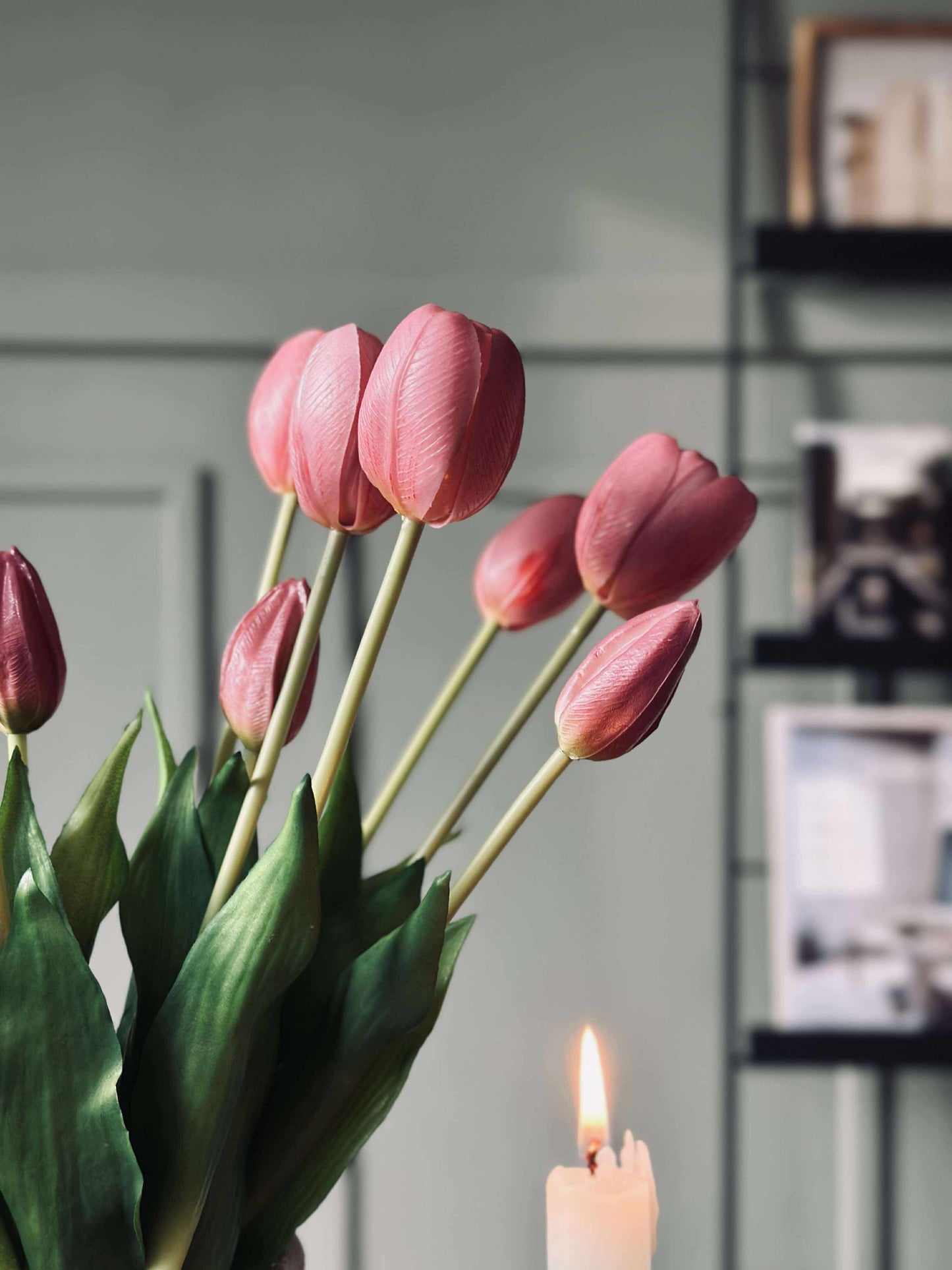 Tulipaner – Flere farver