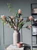 Blomsterstilk -skimmia  MIX