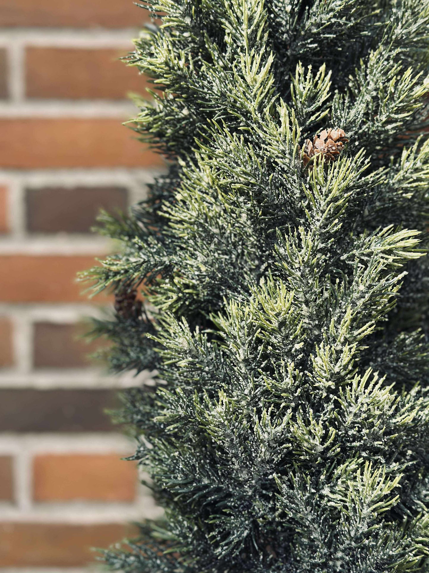 Pinetree MIX - 106 cm