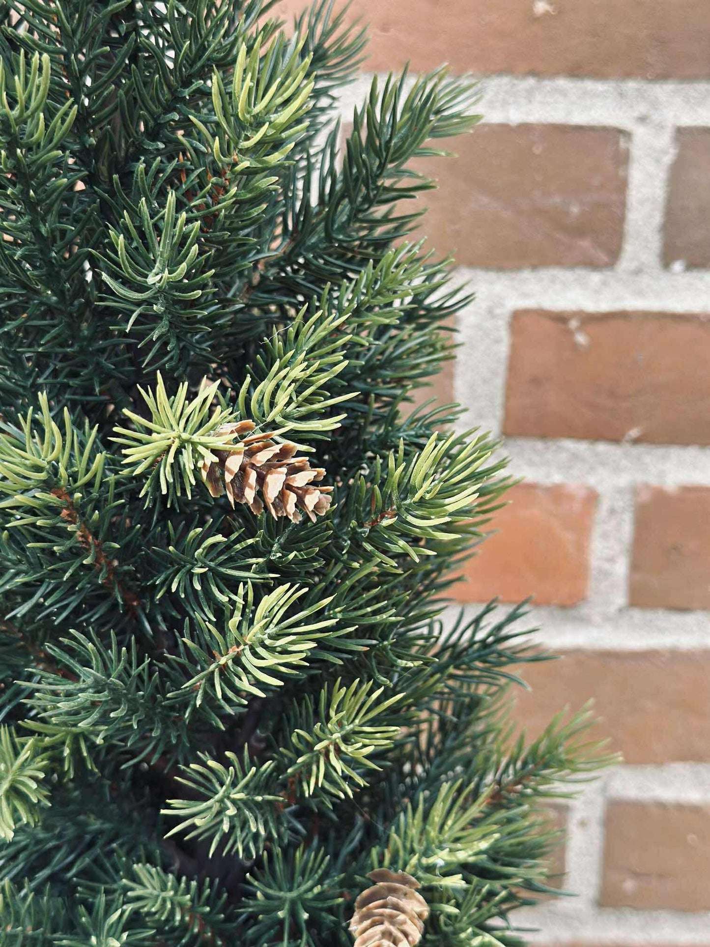 Pinetree MIX - 106 cm