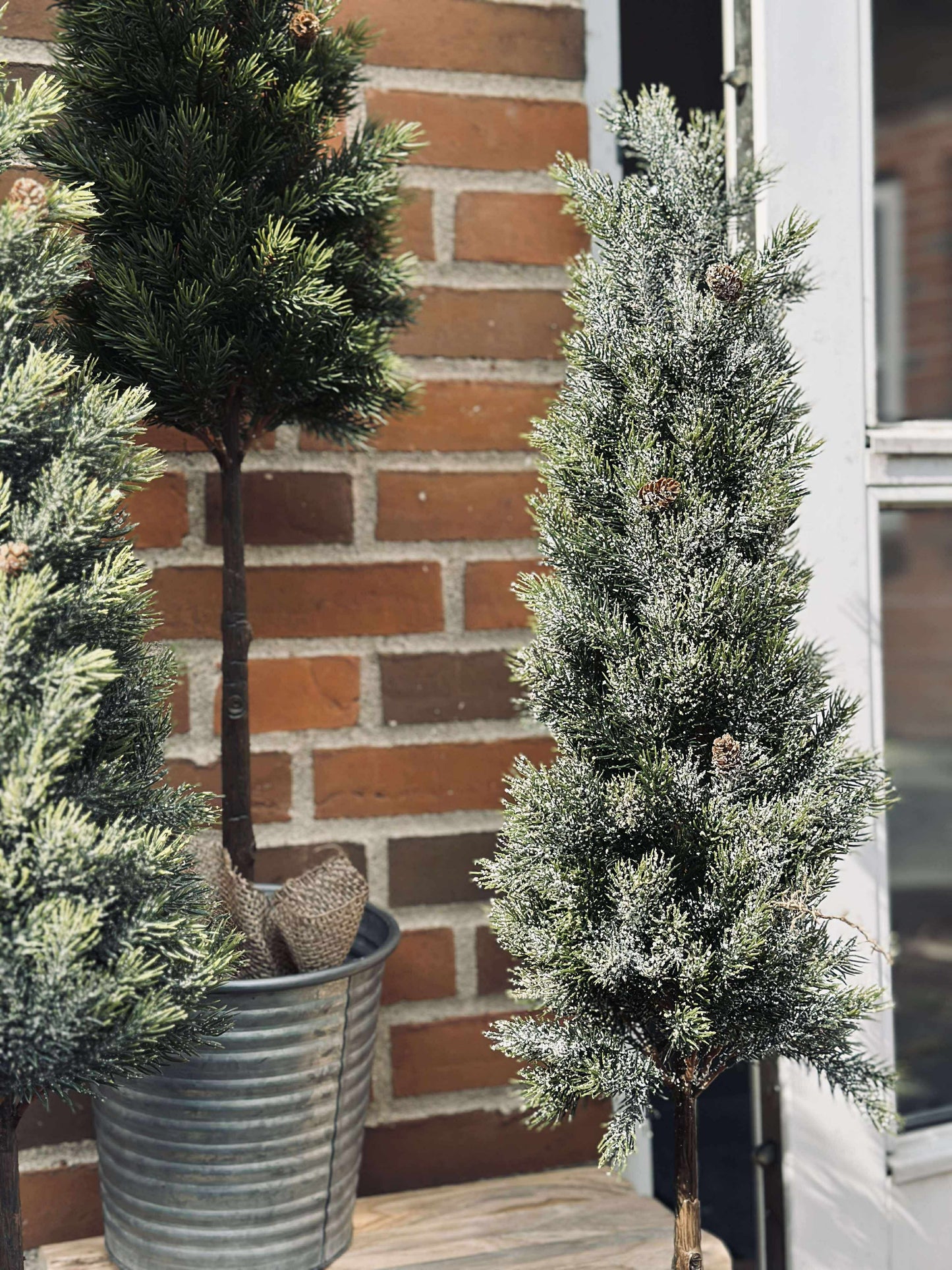 Pinetree MIX - 106 cm