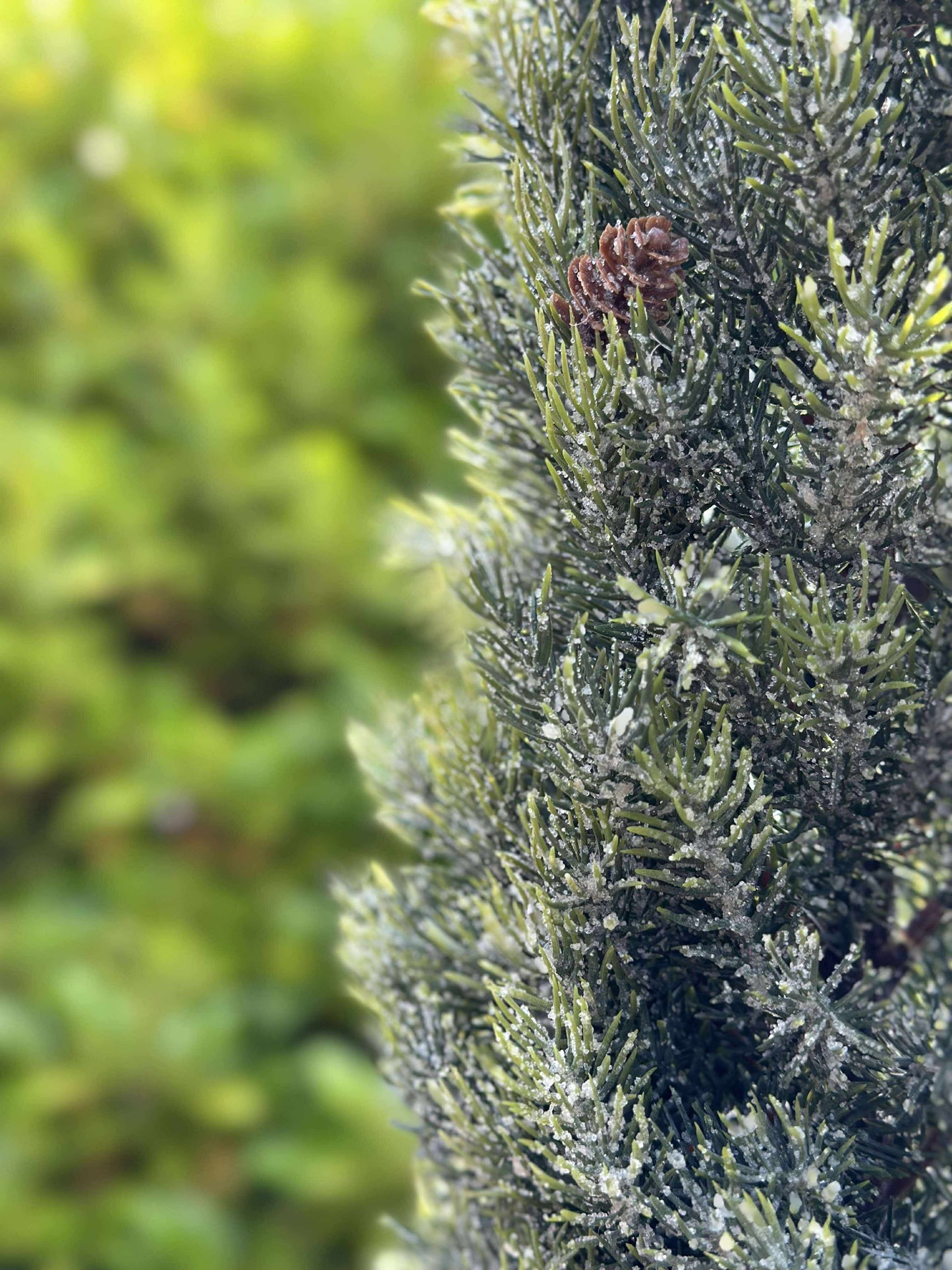 Pinetree MIX - 106 cm