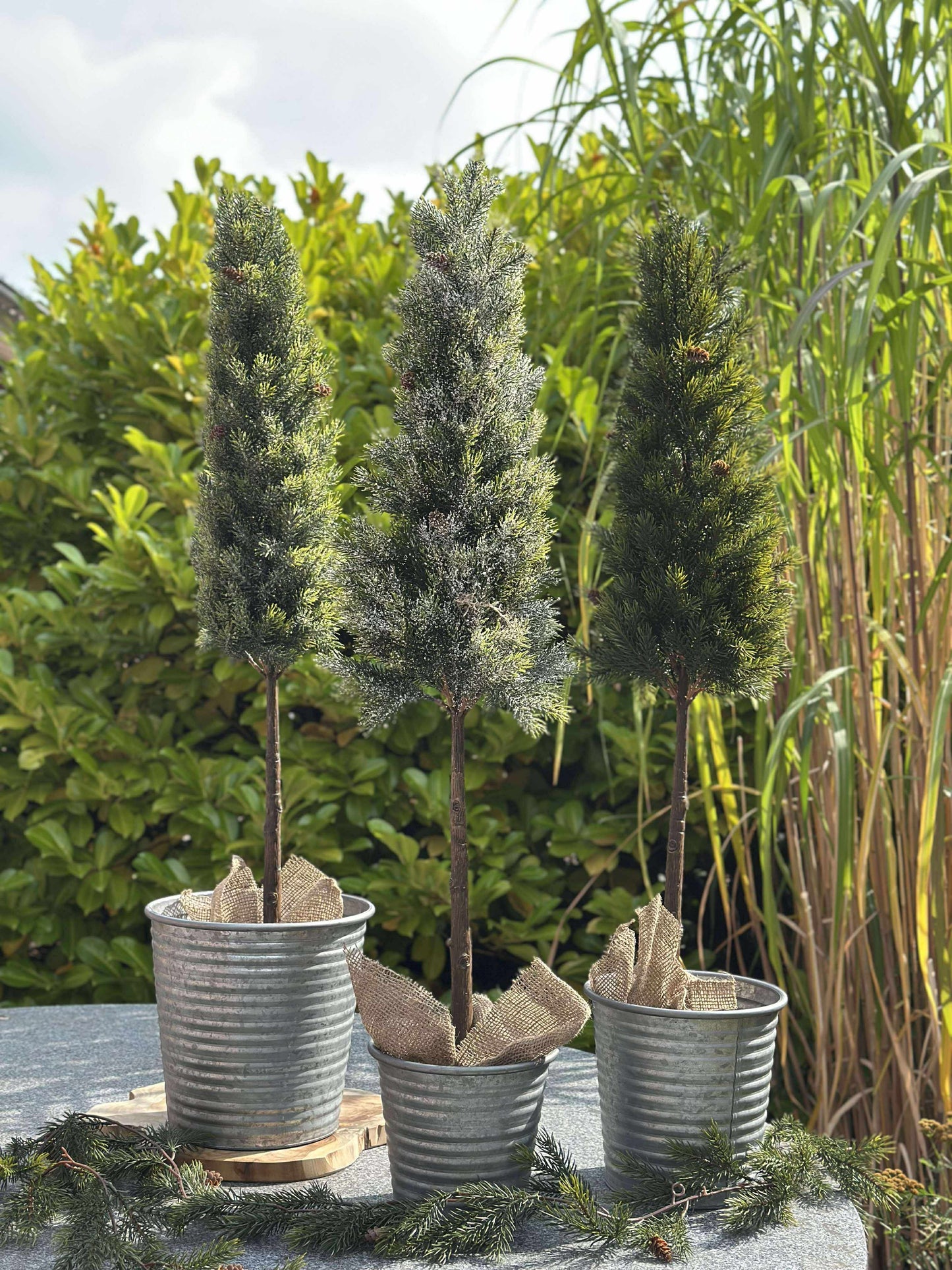 Pinetree MIX - 106 cm