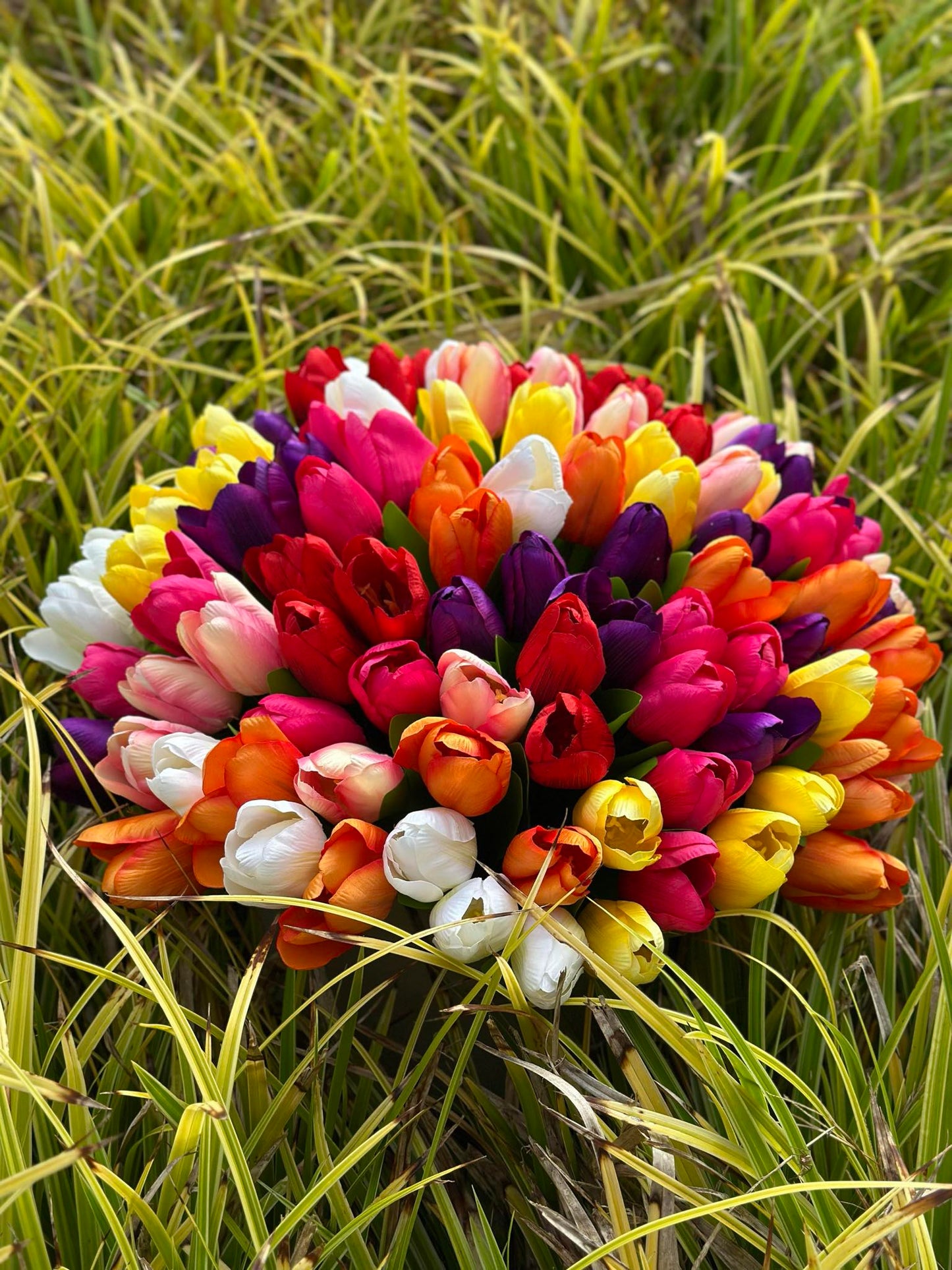 Tulipaner Silke look– Flere farver