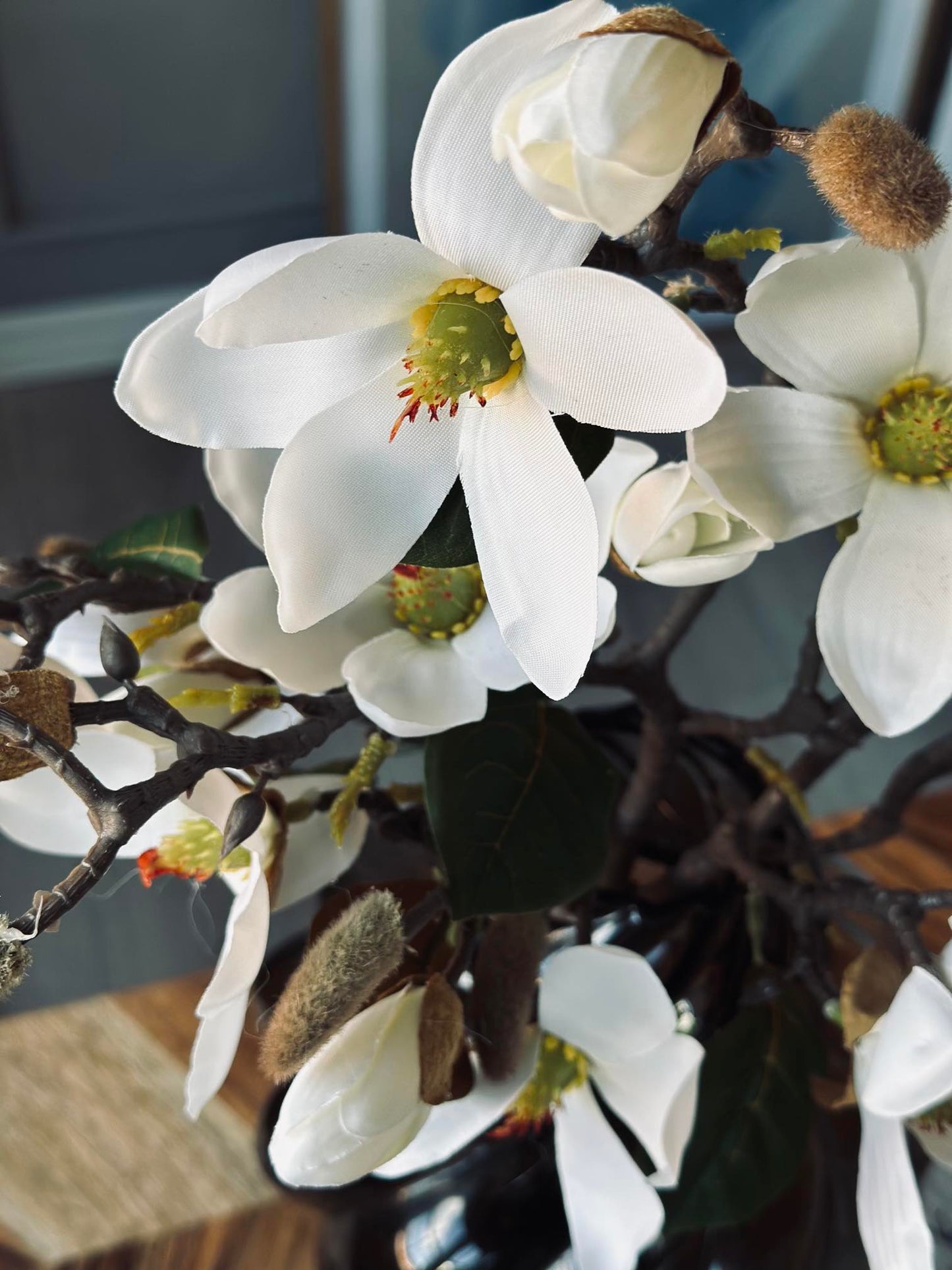 Magnoliagren - 52cm