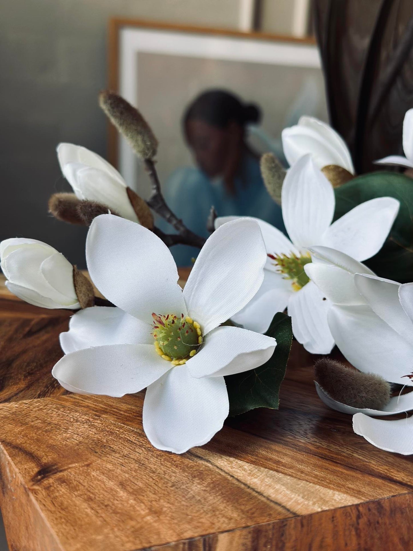 Magnoliagren - 52cm